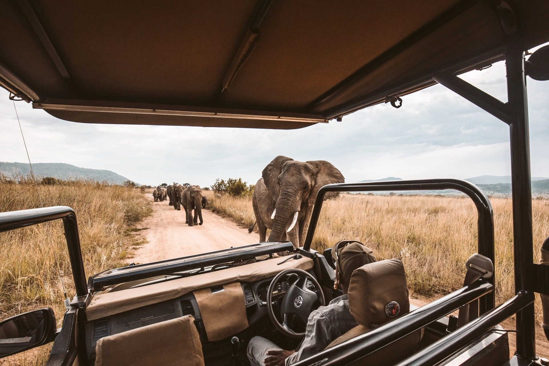 Combien coûte un safari en Afrique ?