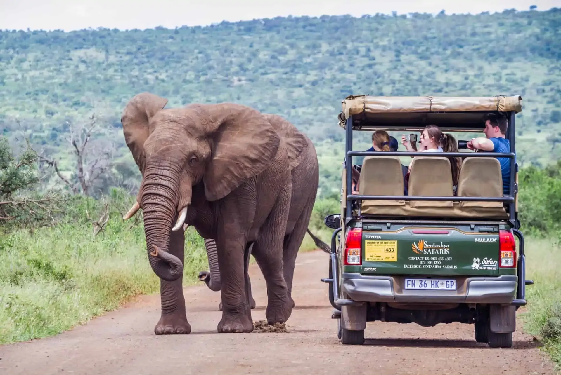 Combien coûte un safari en Afrique pour deux personnes