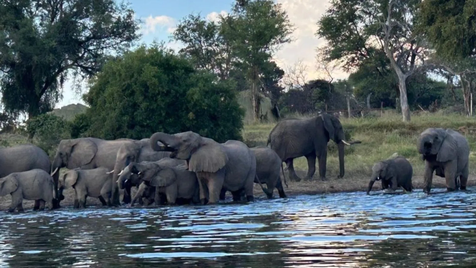 Départ garanti safari Afrique