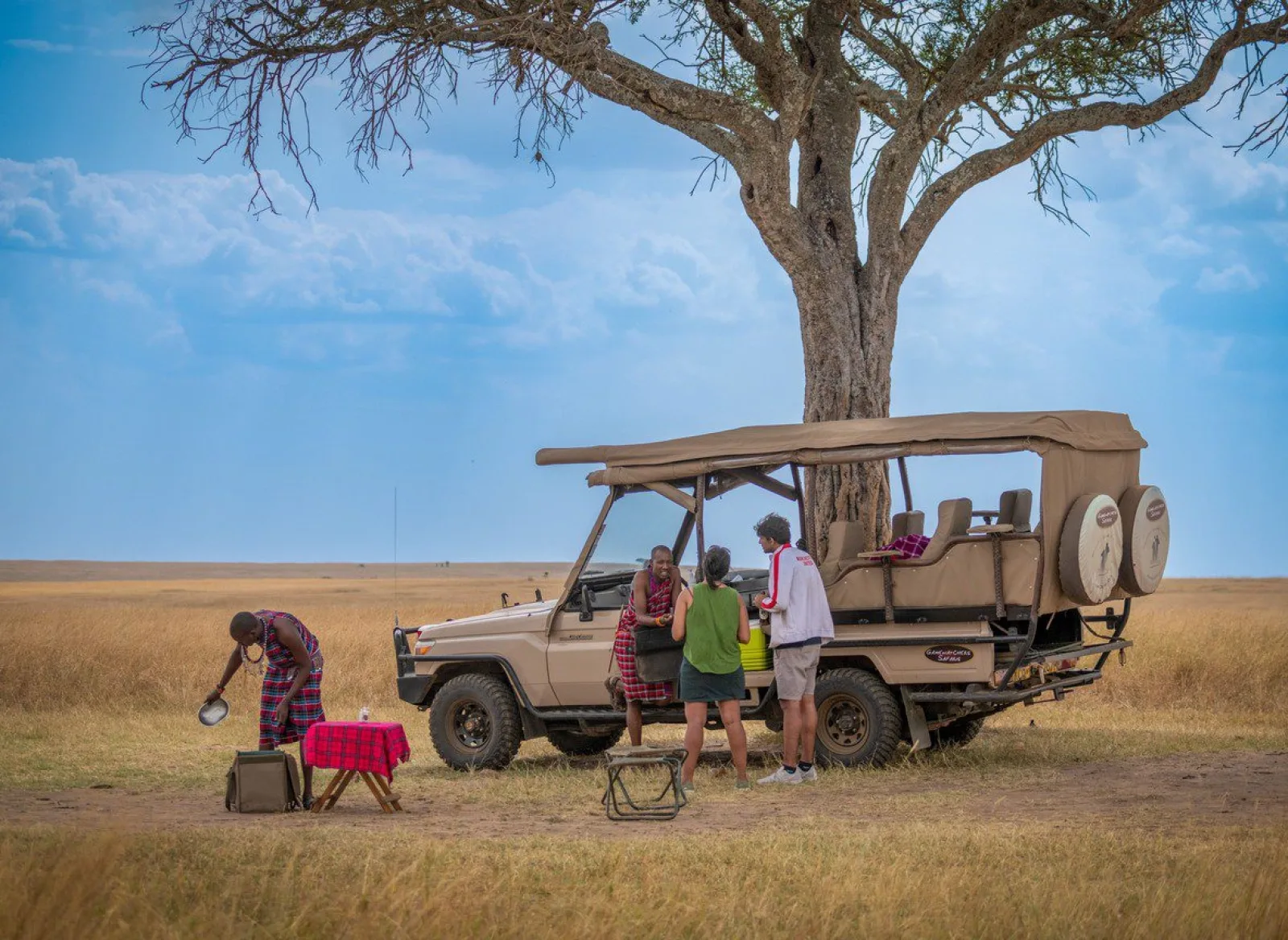Wildlife on an African safari