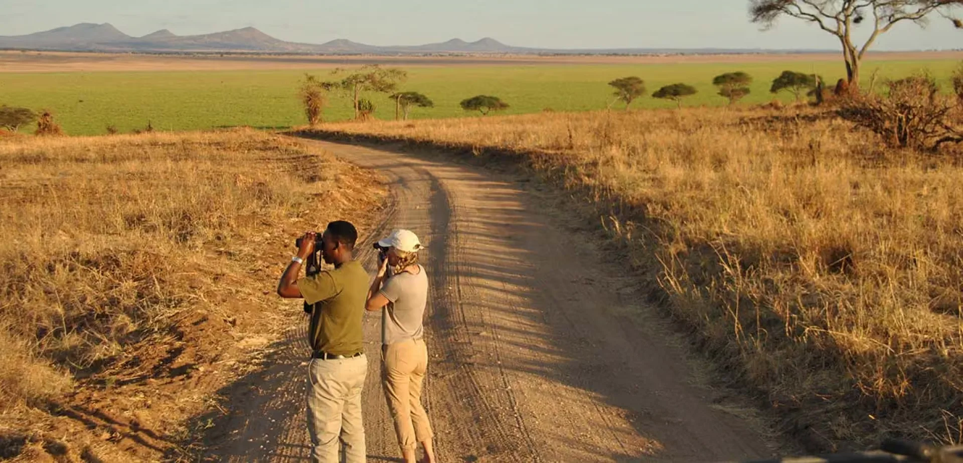 Do I need insect repellent on safari?