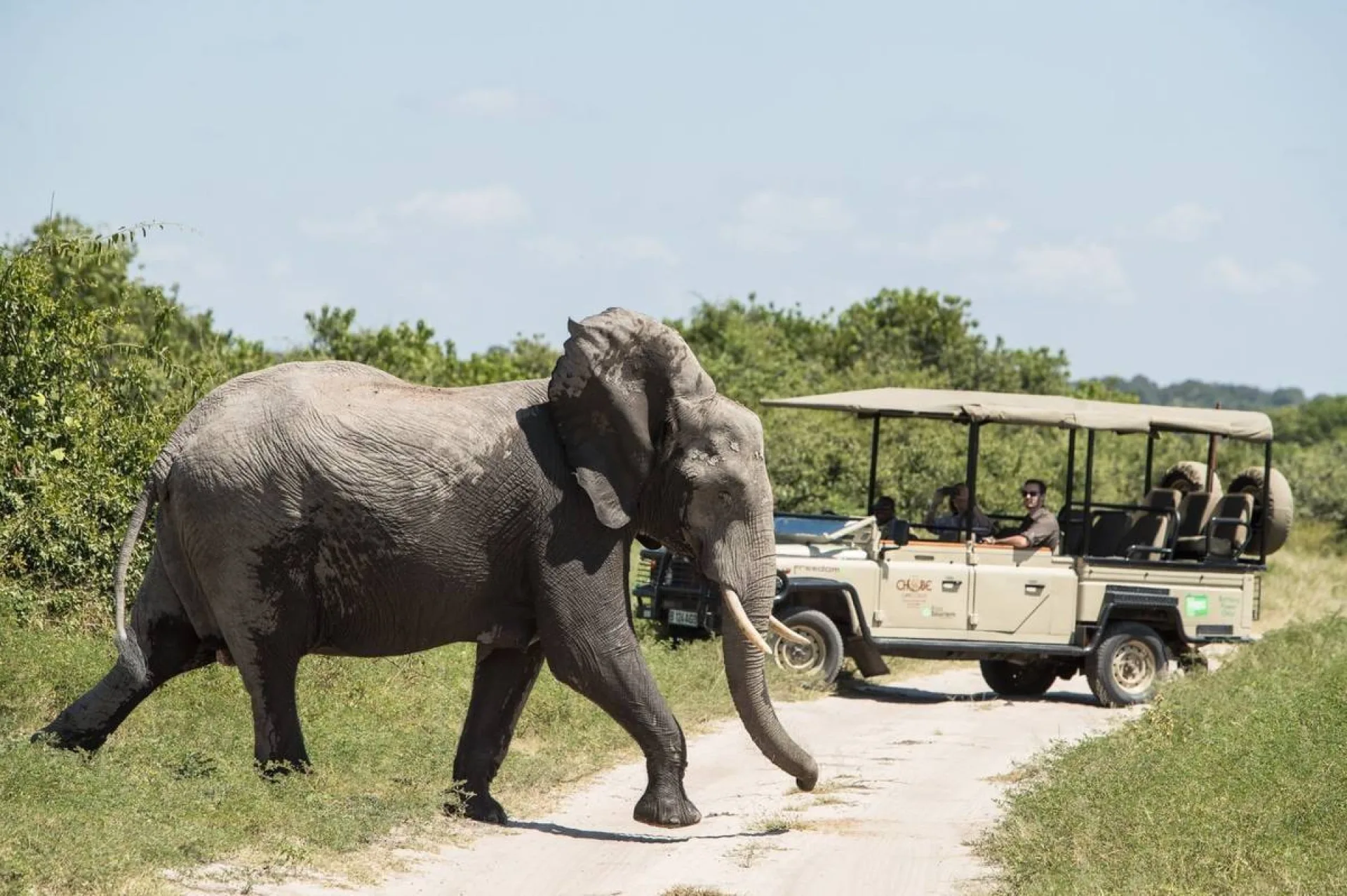 Do safari game drives operate in the rain?