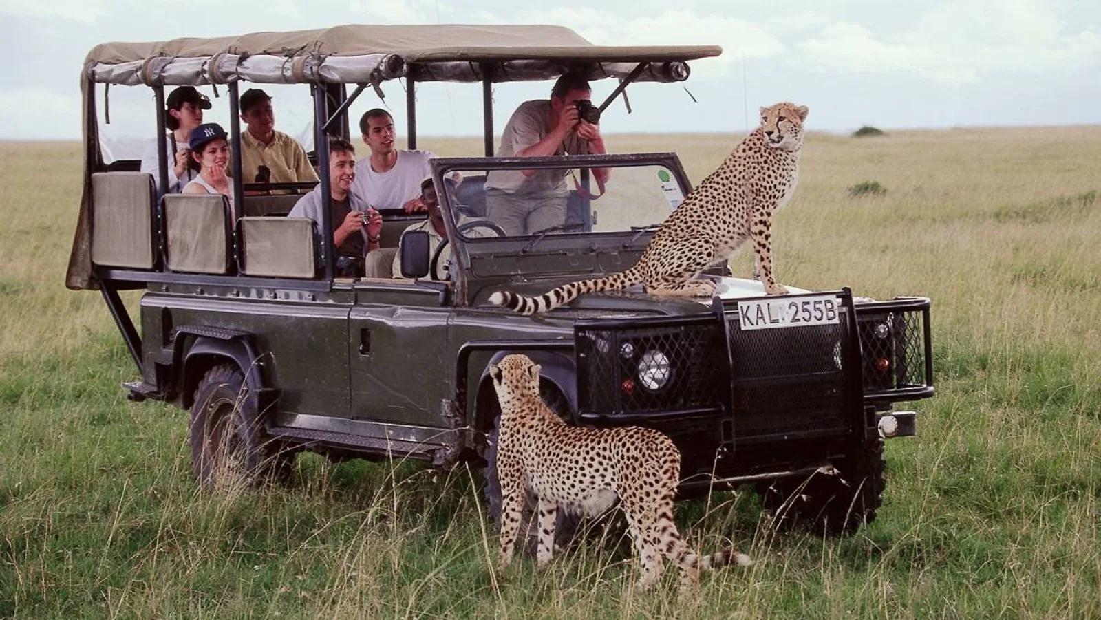 Safari lodge in Africa