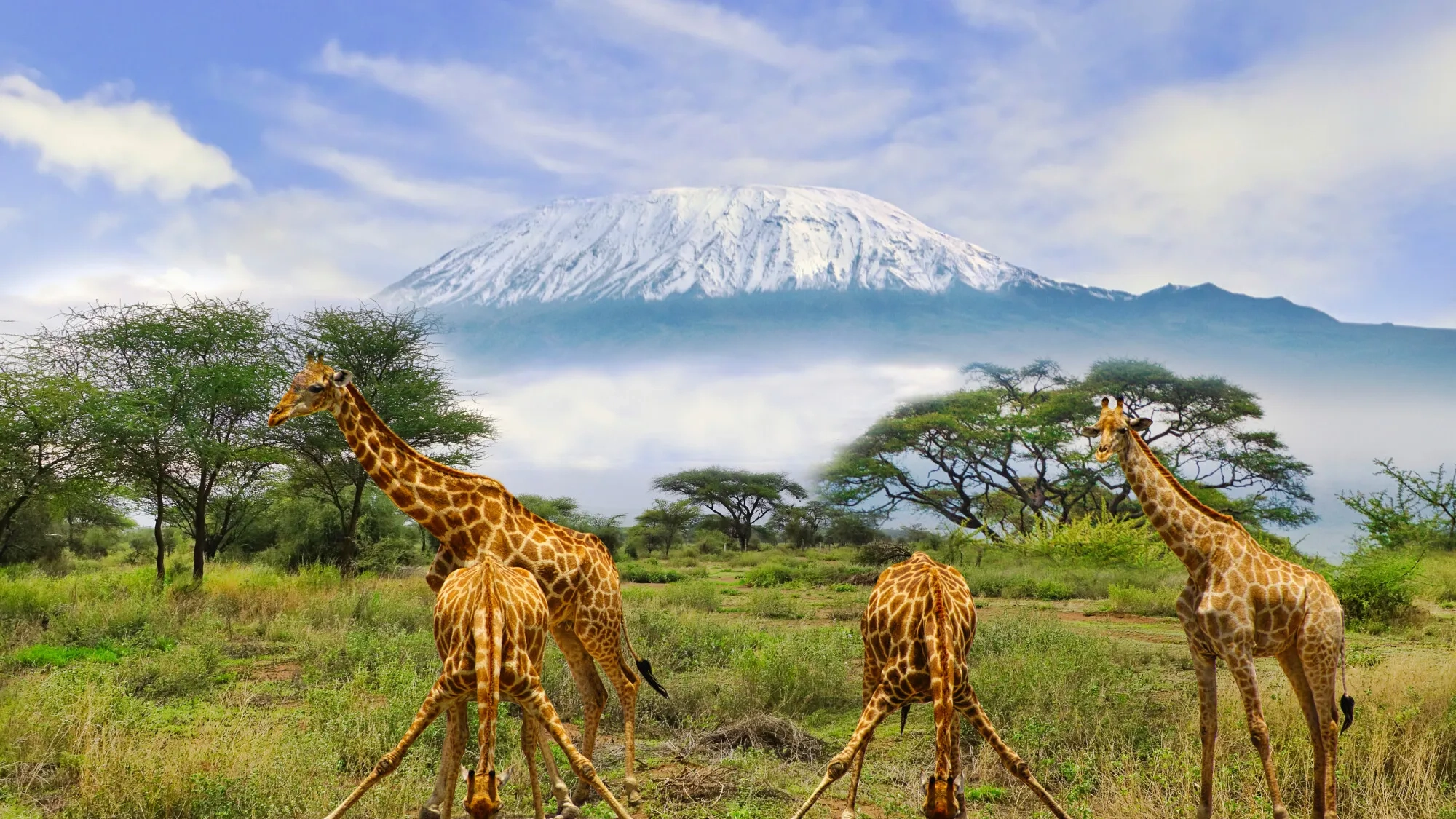 Game drive in Amboseli National Park