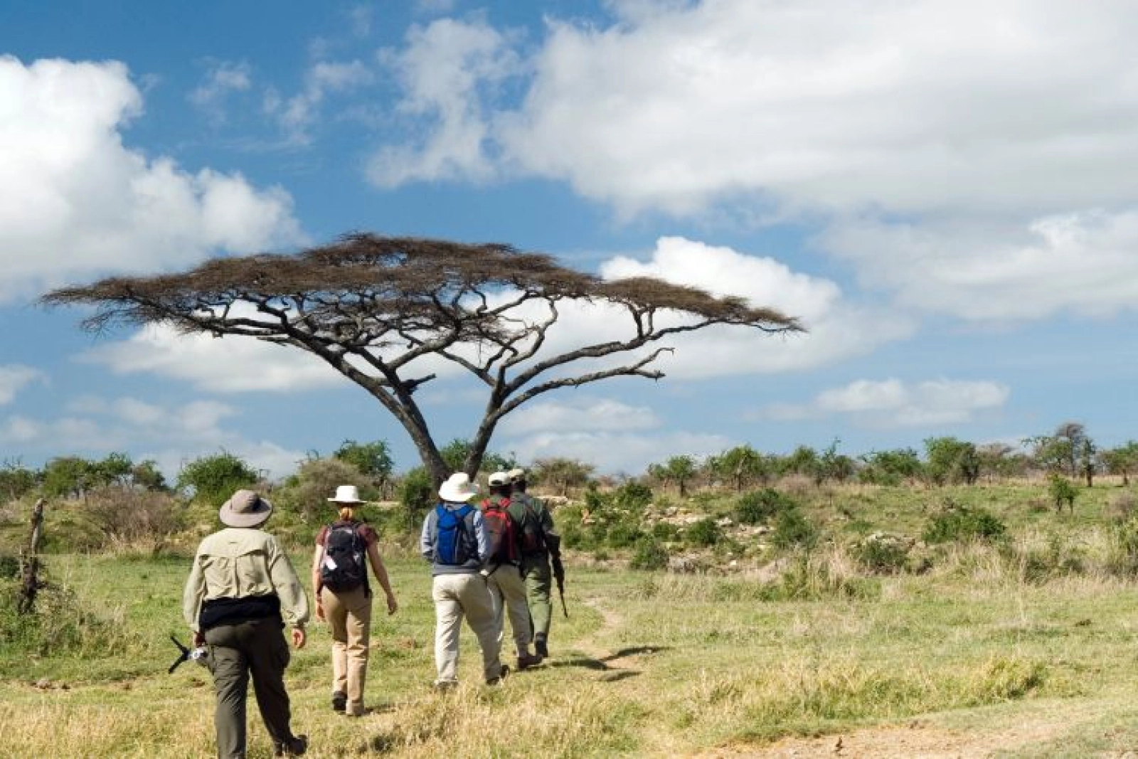 Game drive in Amboseli National Park