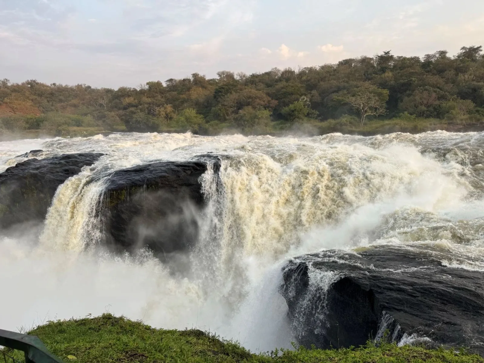 Game drive in Murchison Falls