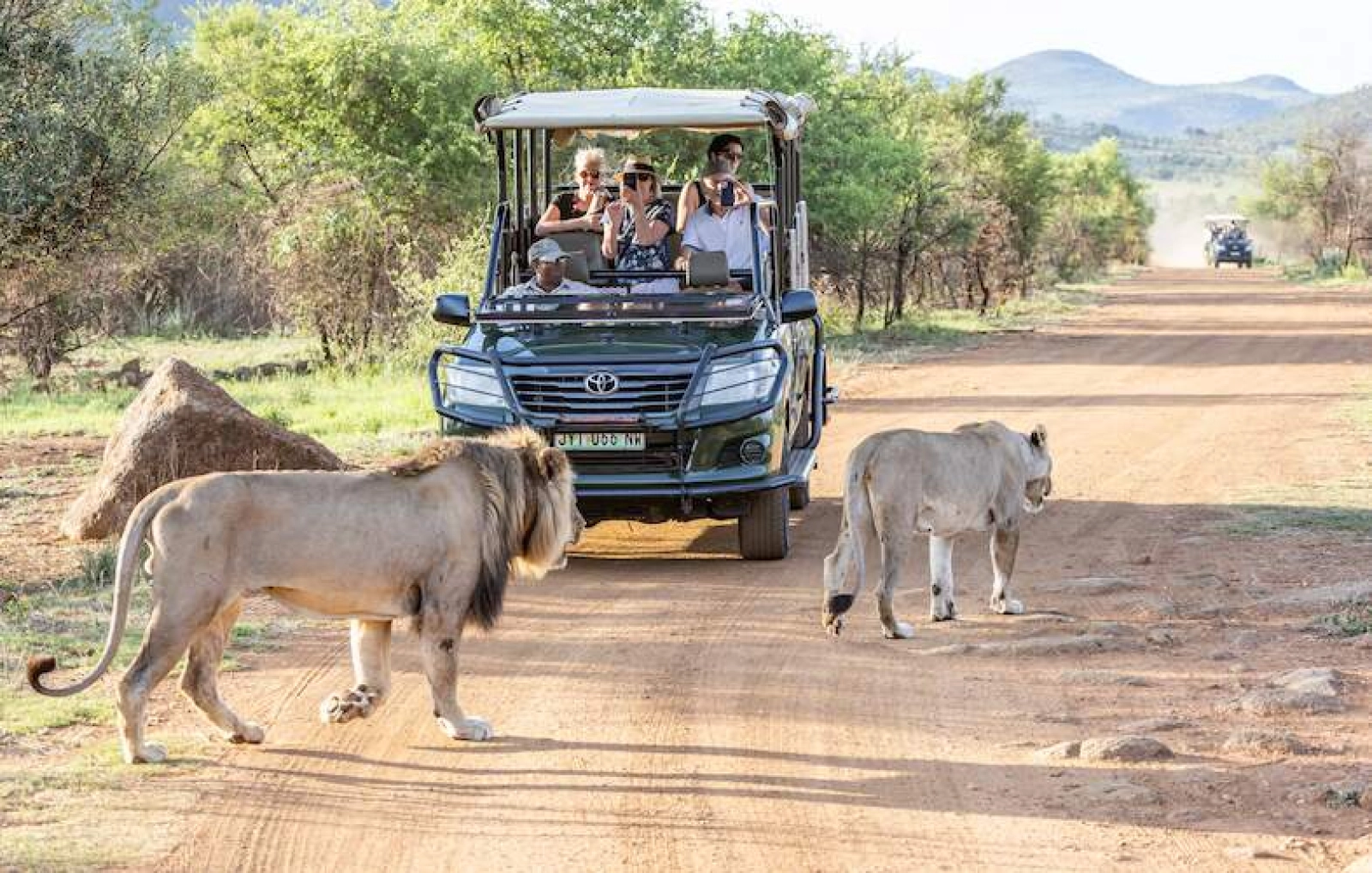 Game drive in Pilanesberg National Park