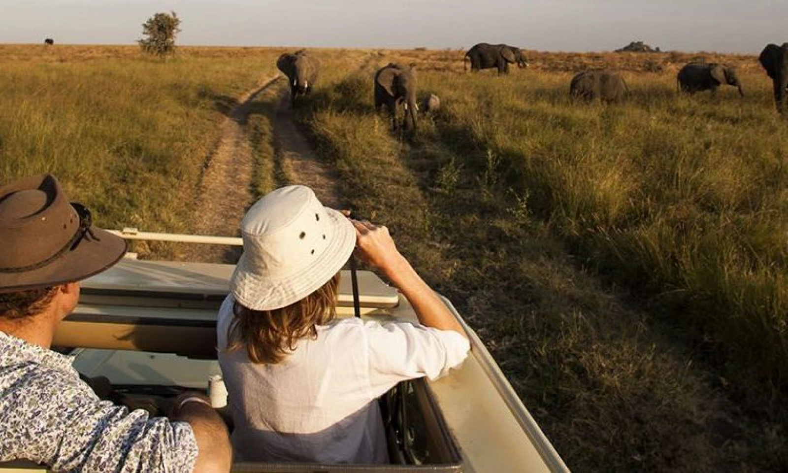 Game drive in Queen Elizabeth