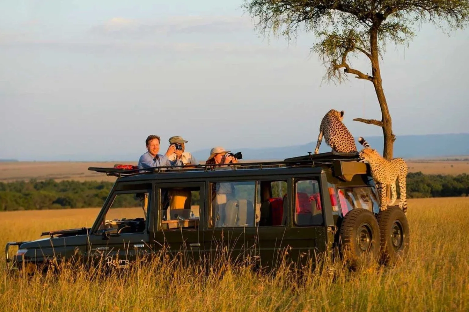 Game drive on an African safari