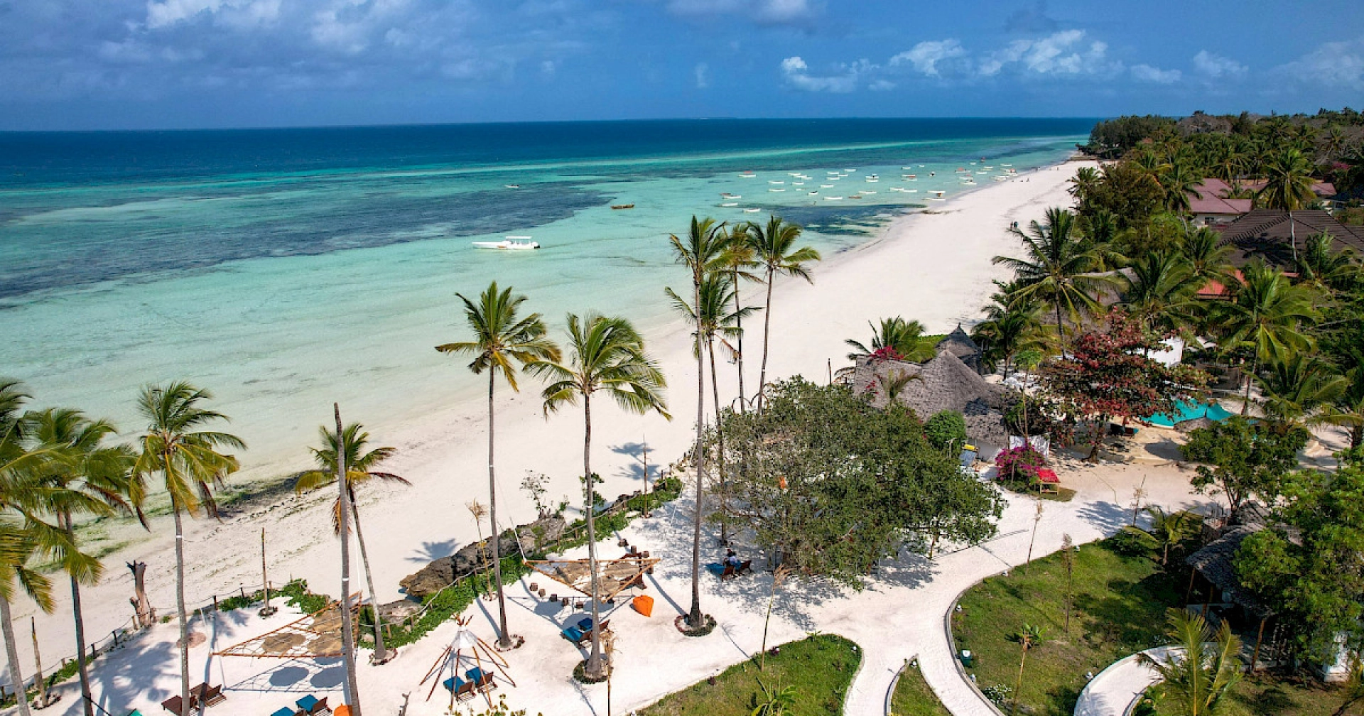 Gorilles Ouganda et Zanzibar