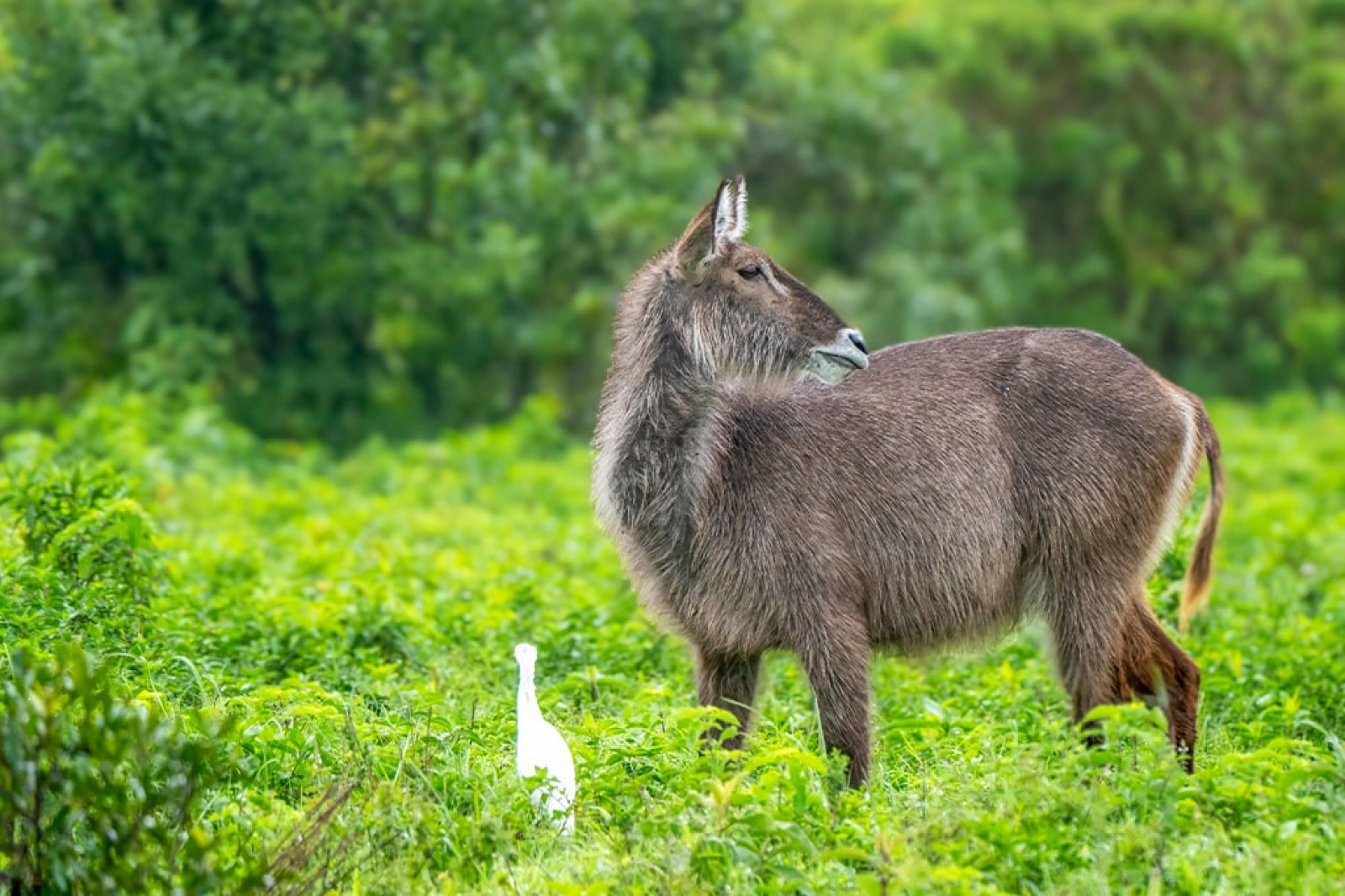 Häufige Fragen zum Arusha Nationalpark