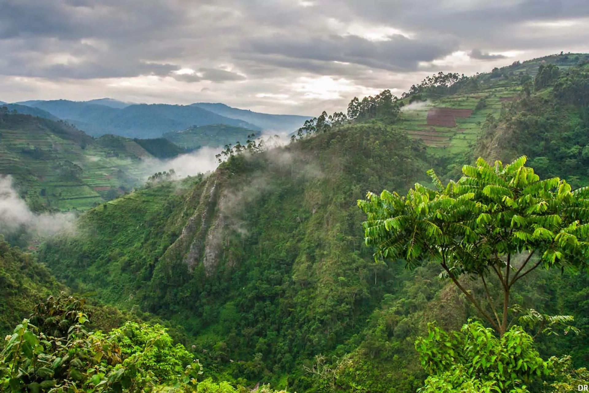 Hébergement pas cher Bwindi