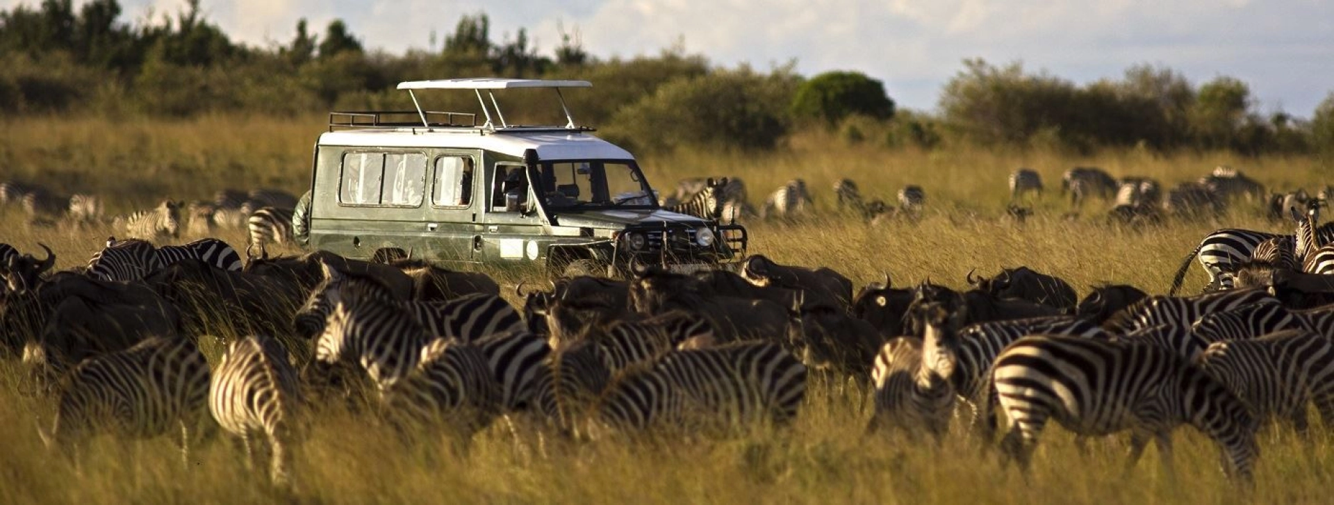 How crowded can a private game reserve get during peak season?