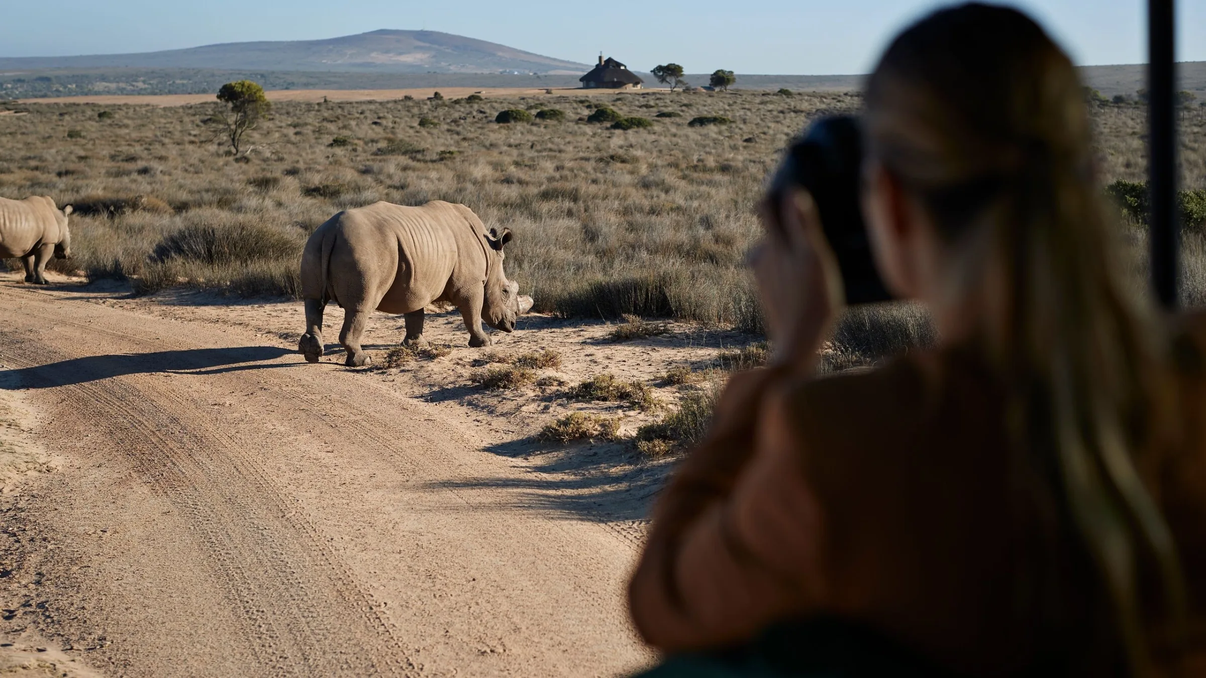 How do I plan a first African safari?