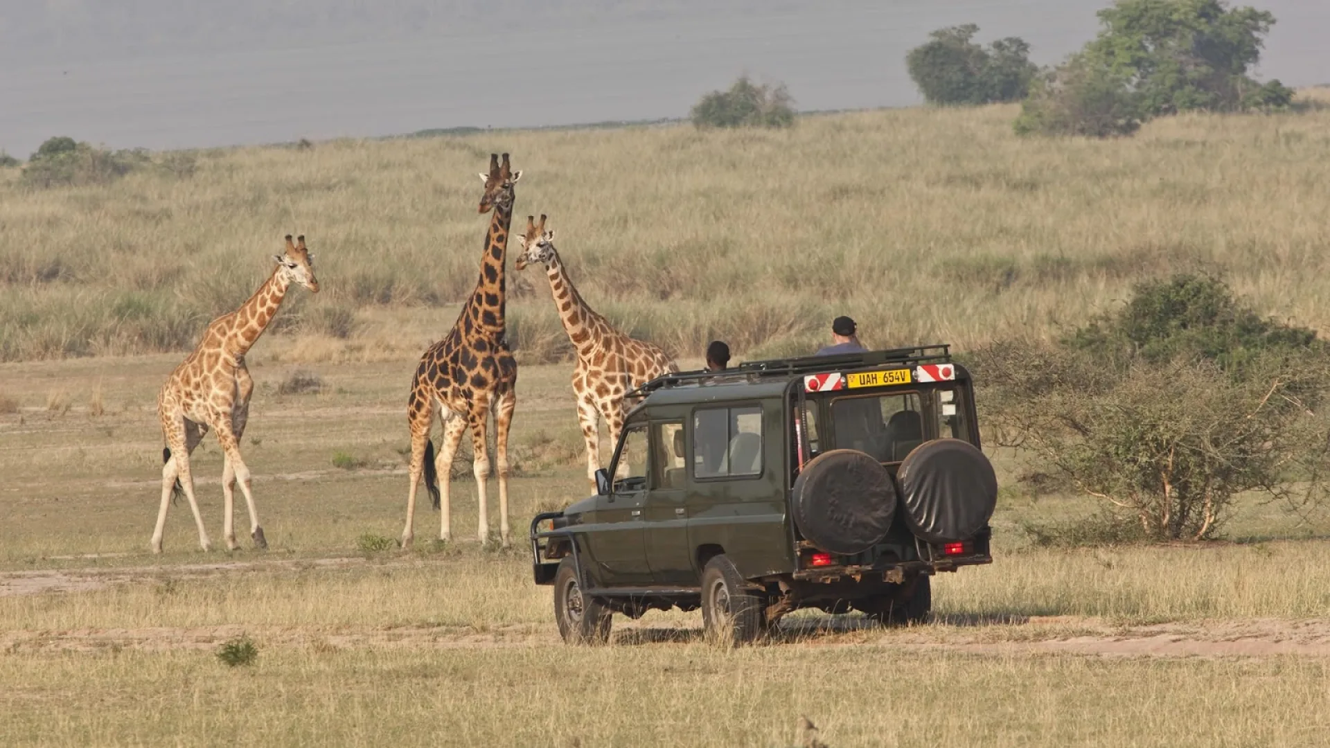 How do safari rules differ in a national park?
