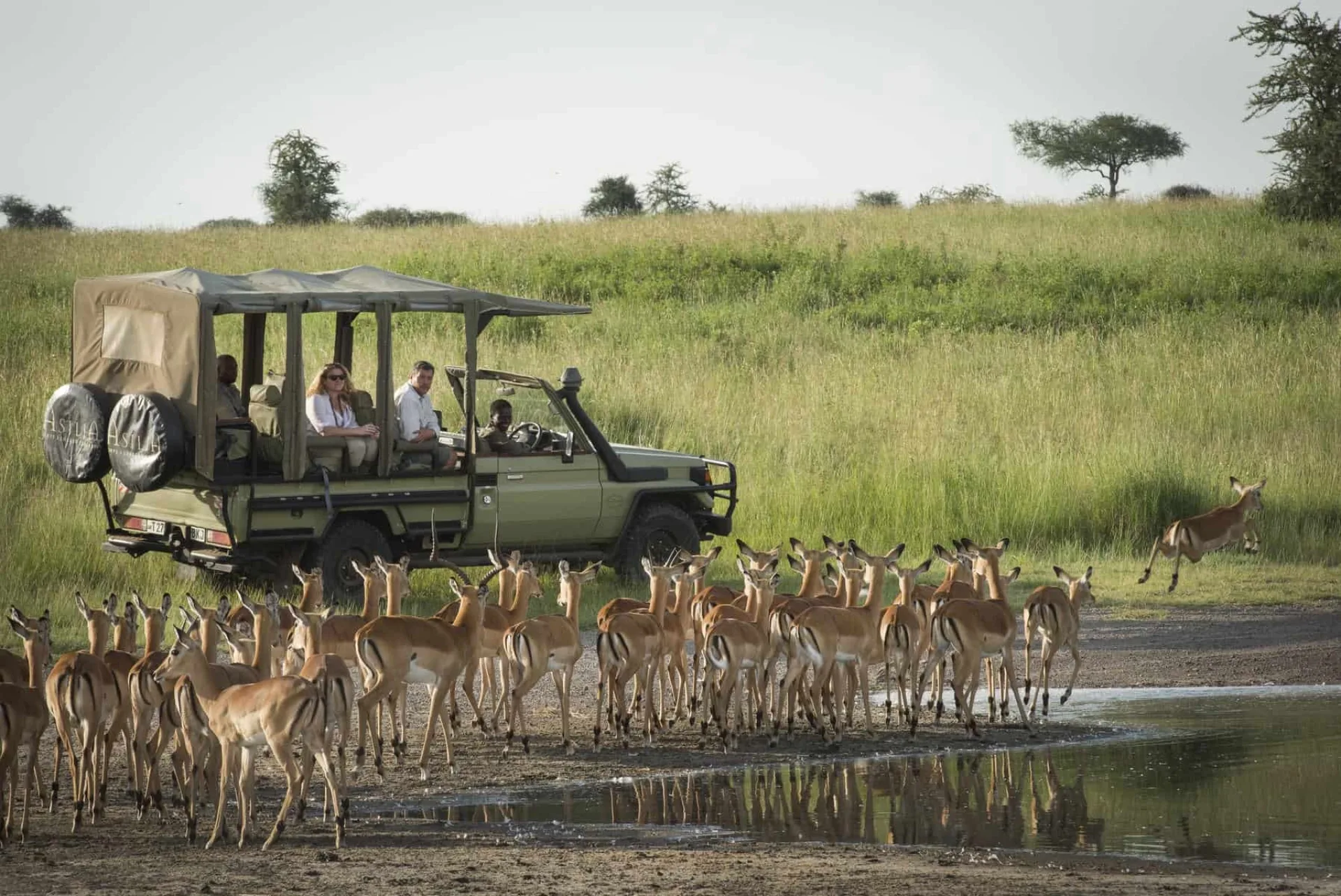 How do safari rules differ in a private game reserve?