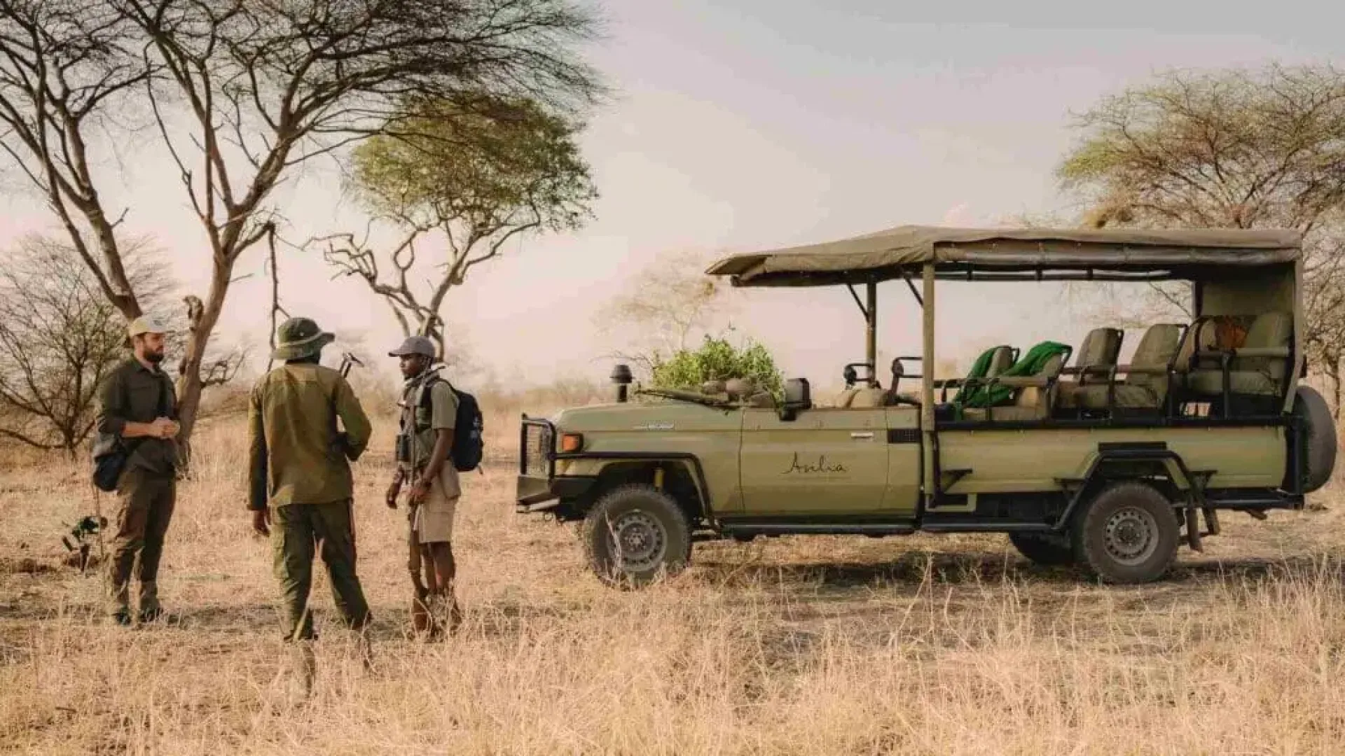 How do safari transfers work?