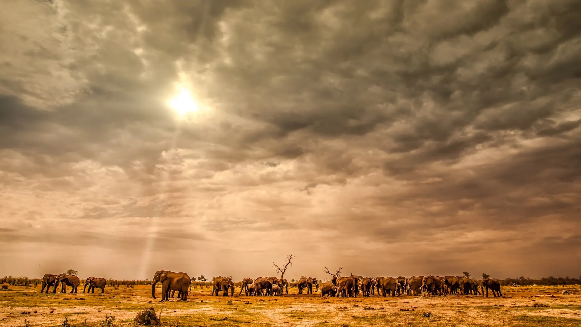 How far in advance should I book a African safari photography?