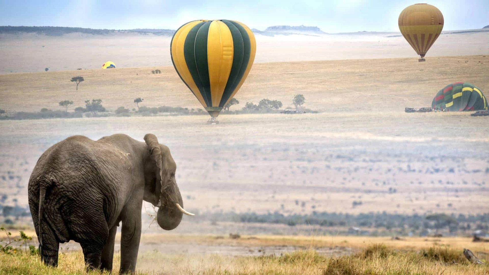 How Hot Does It Get on an African Safari?