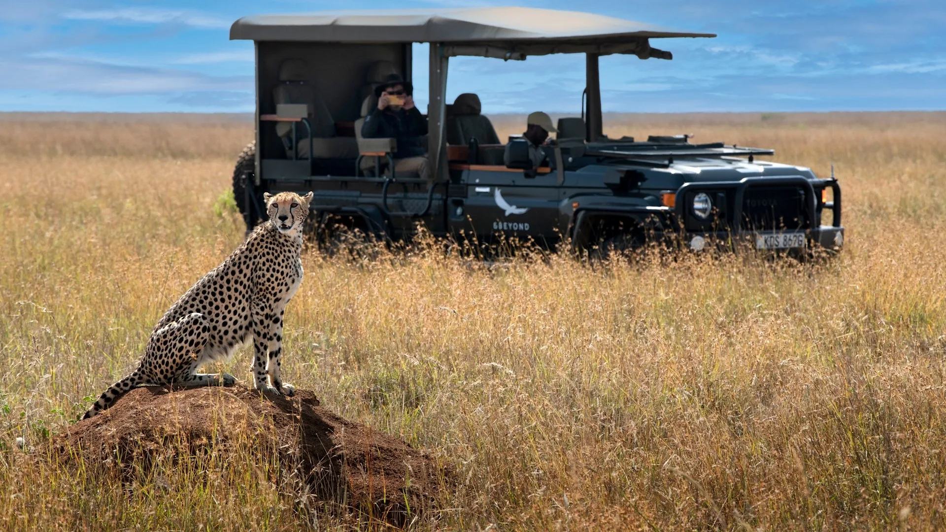 How long does a safari game drive last?