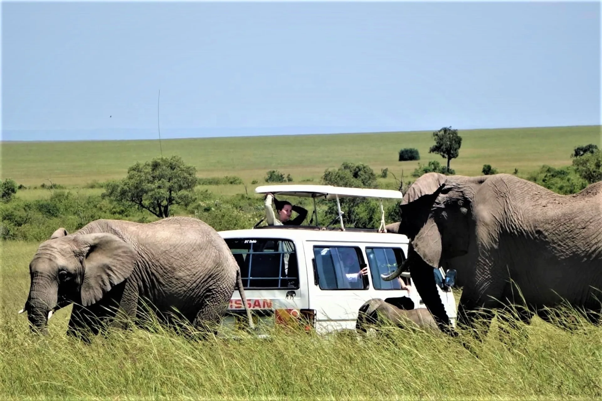How many days are ideal for a budget African safari?