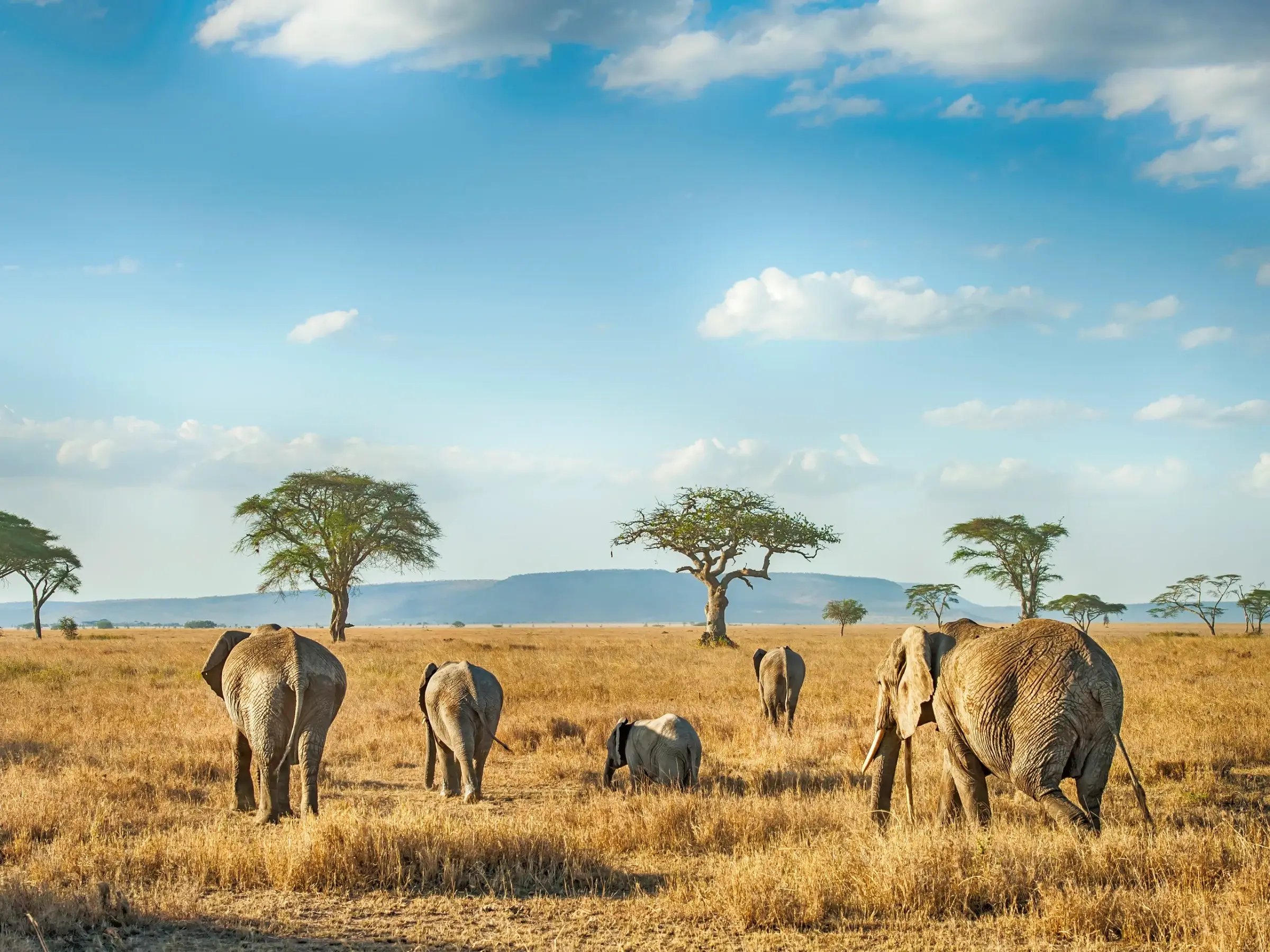 How many days are ideal for a first African safari?