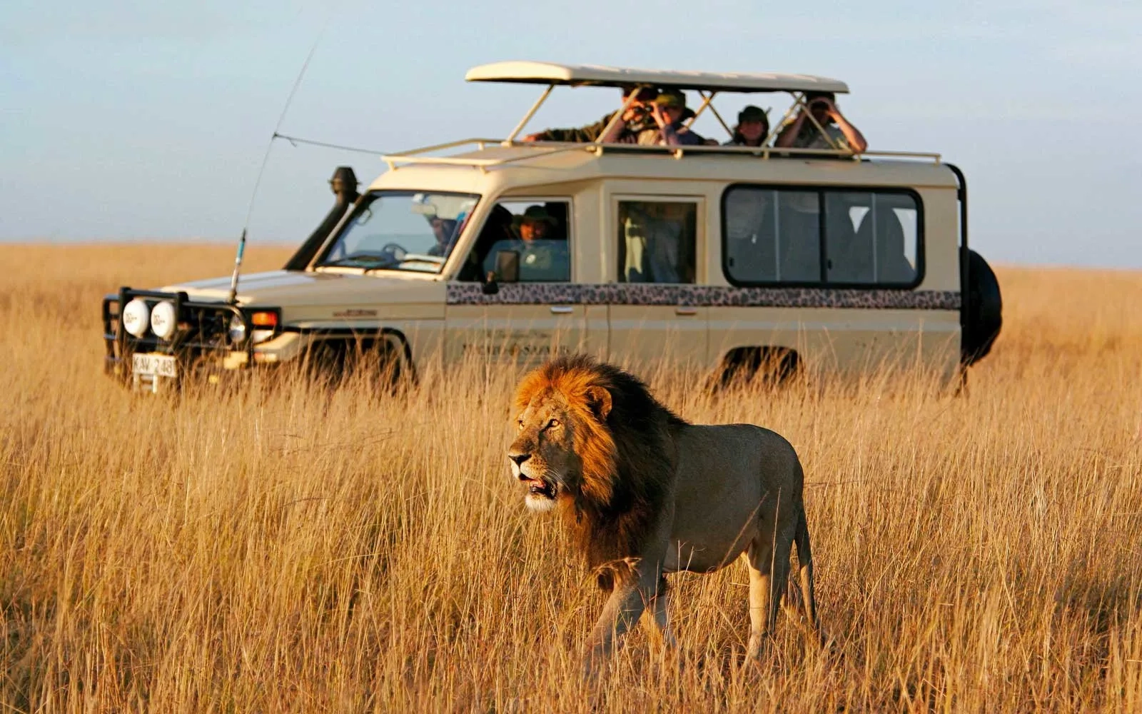 African safari