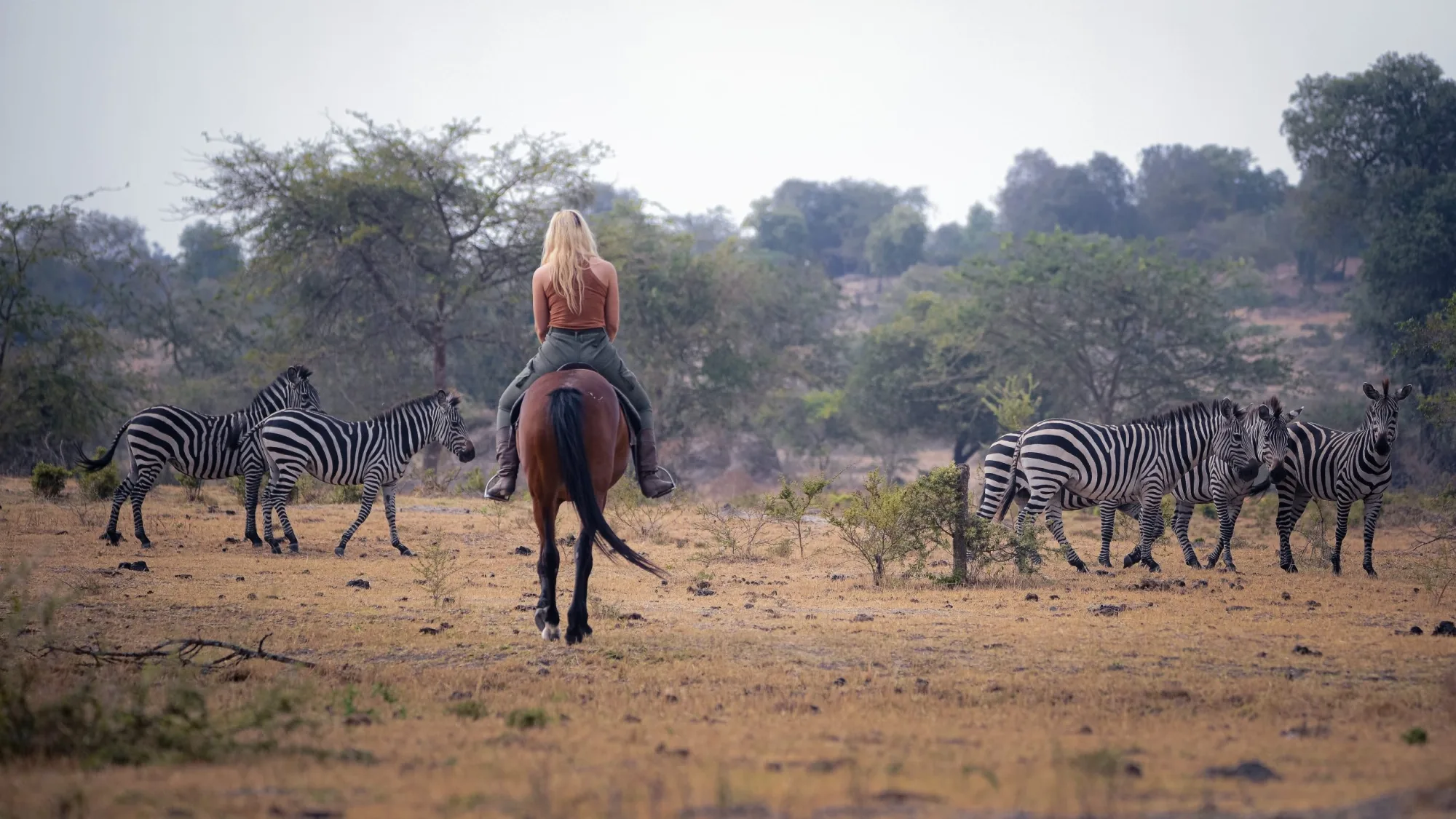 Safari lodge in Africa