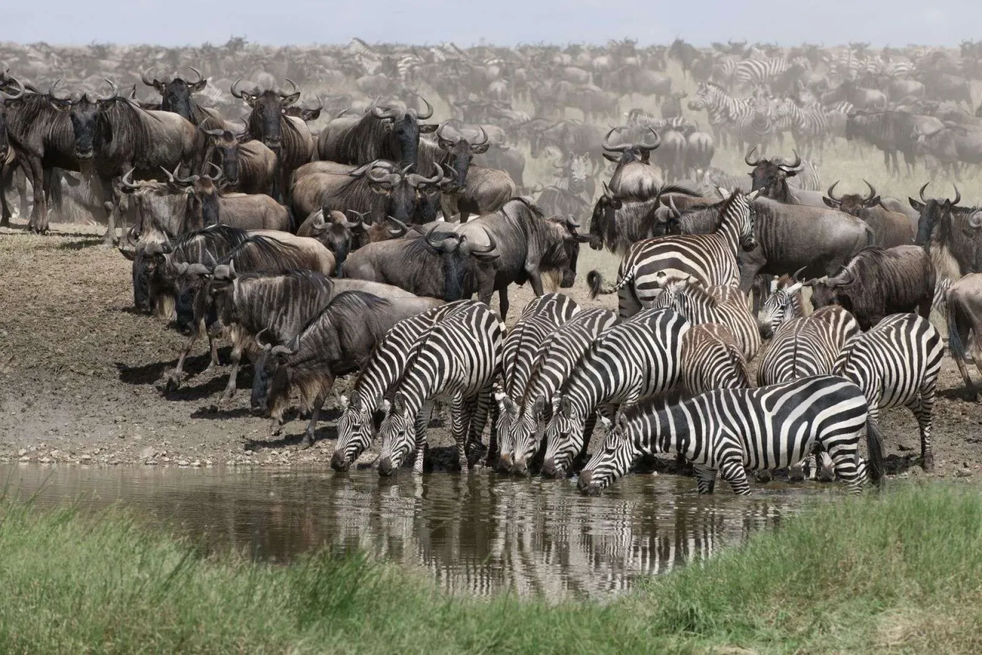 How much does a mid-range African safari cost?