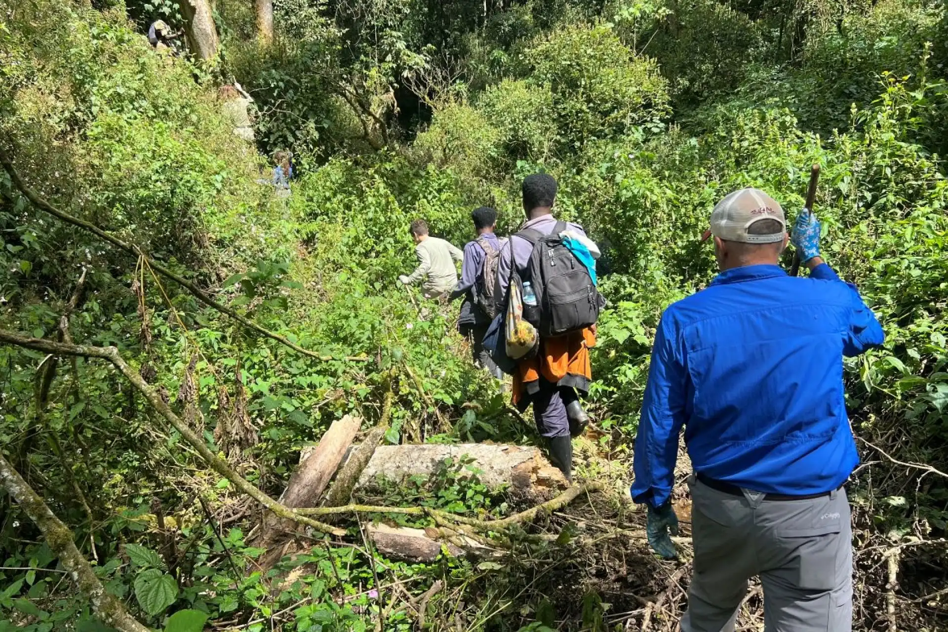 How much should you tip a safari guide?