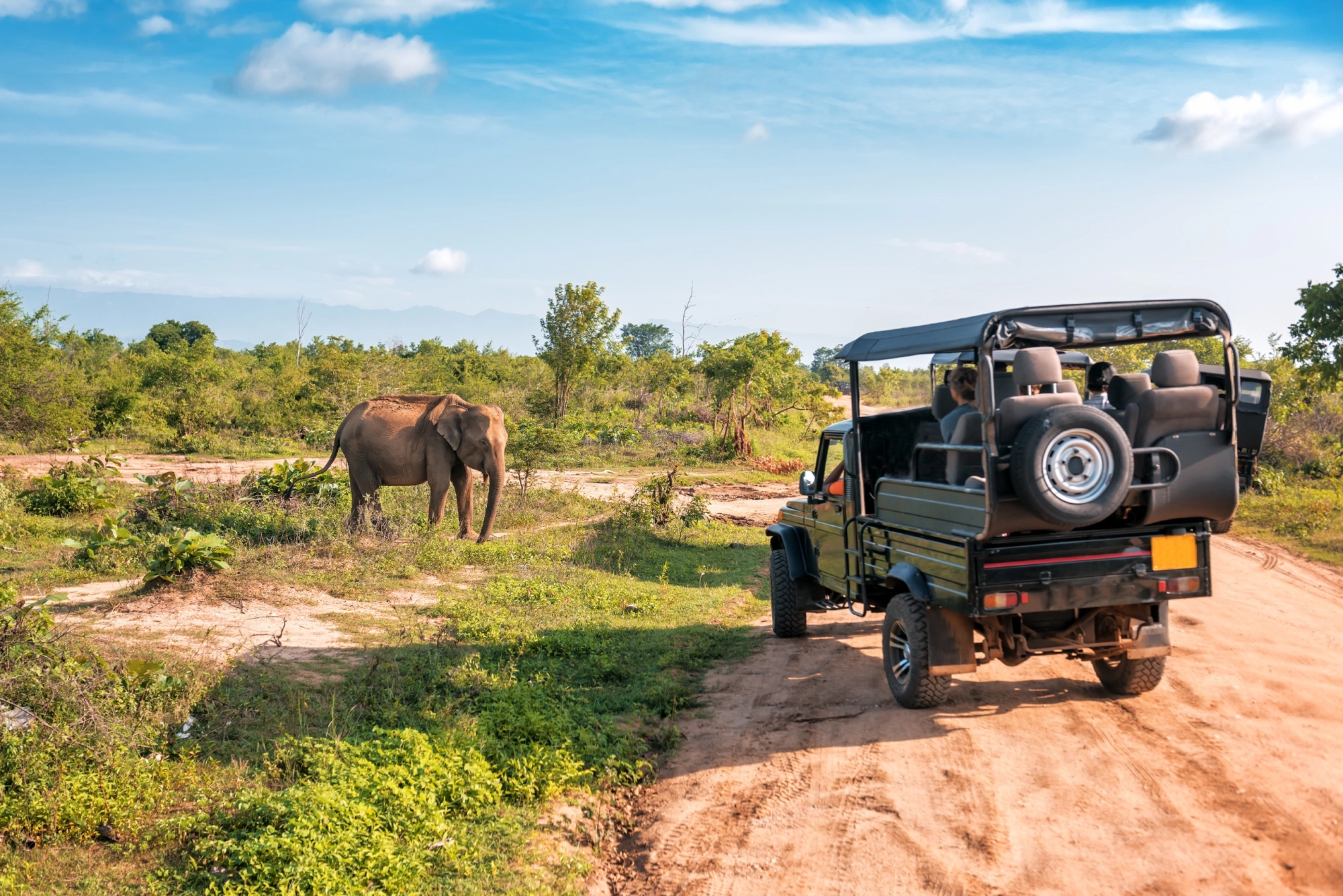Introduction : existe-t-il vraiment un meilleur mois pour un safari en Tanzanie