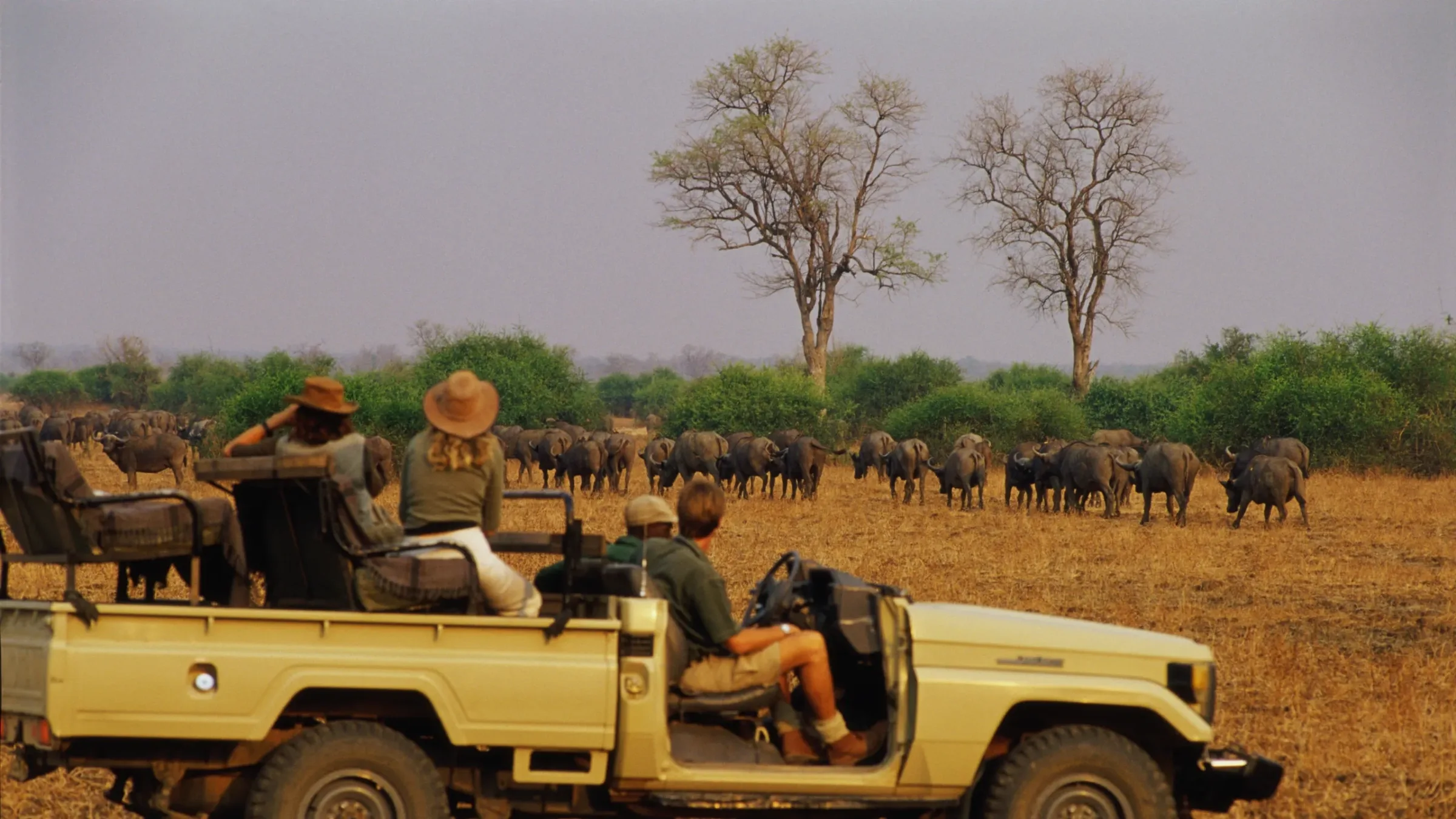 Is it cheaper to book safari directly with a local operator?