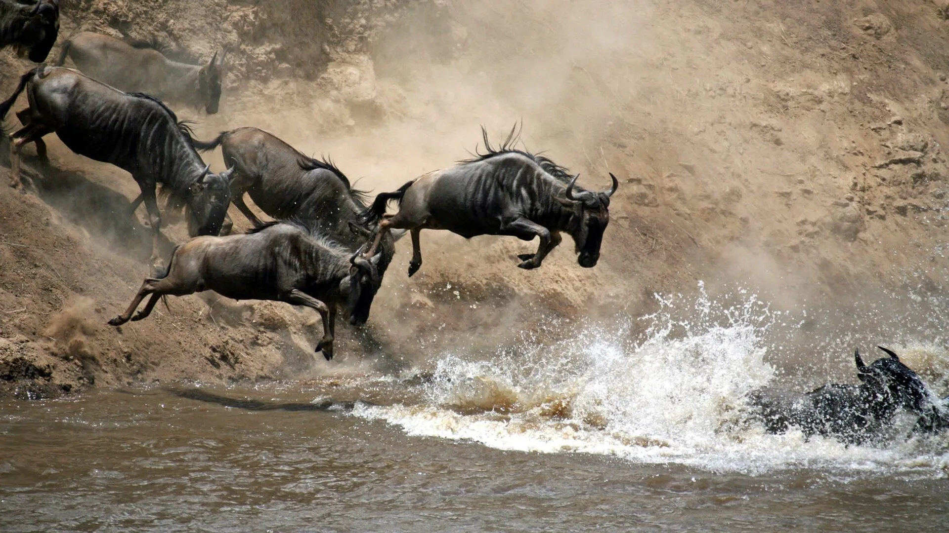 Is January a good month for an African safari?