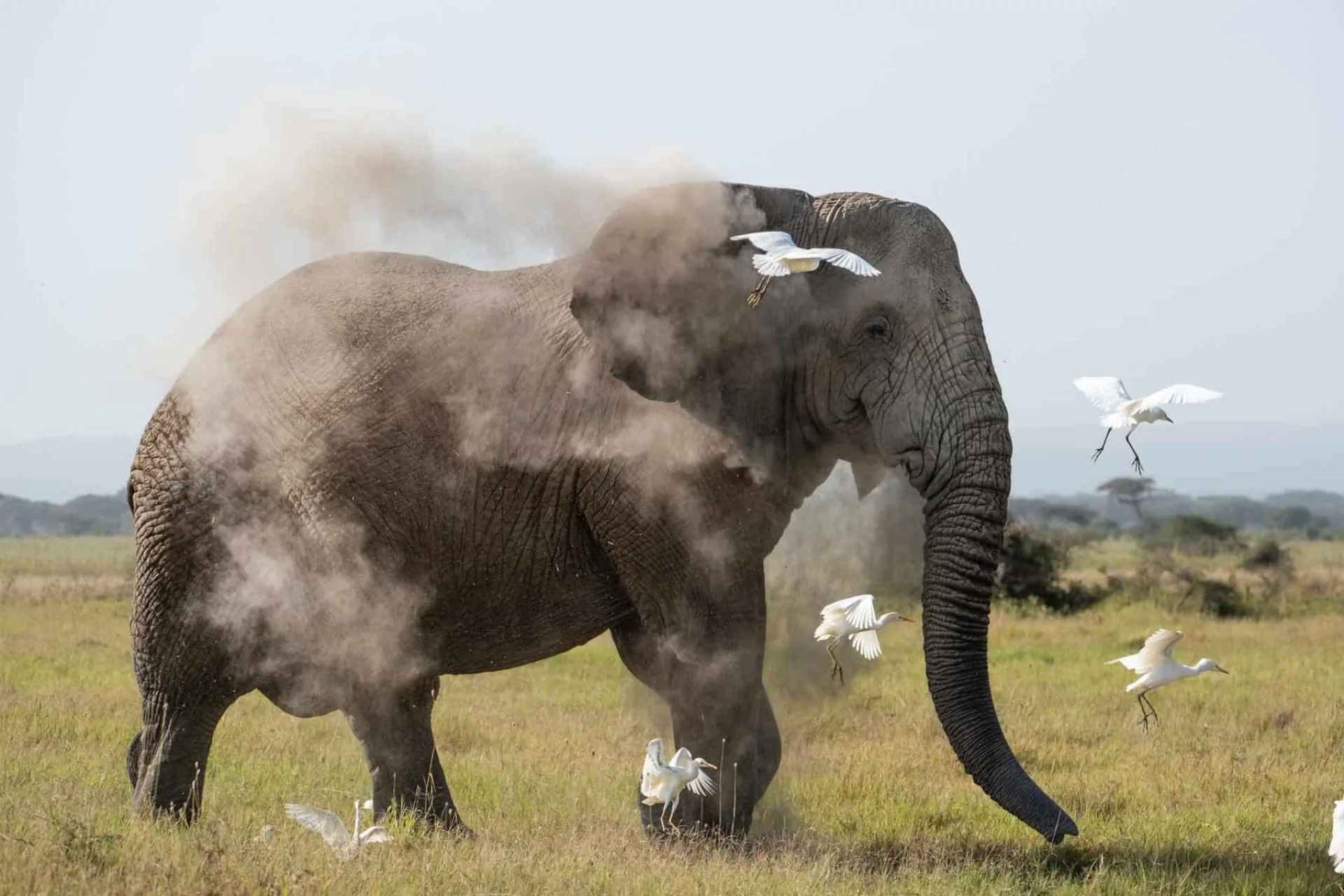 Is March a good month for an African safari?