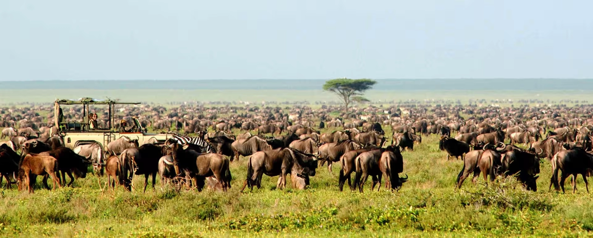 Is November a good month for an African safari?