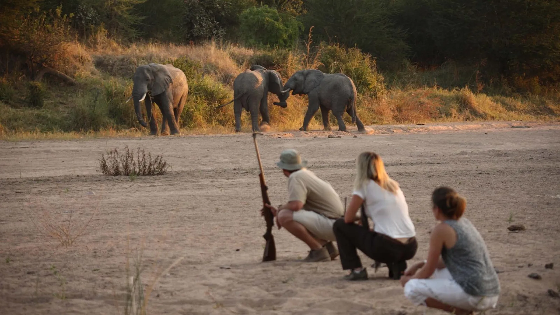 Is October a good month for an African safari?