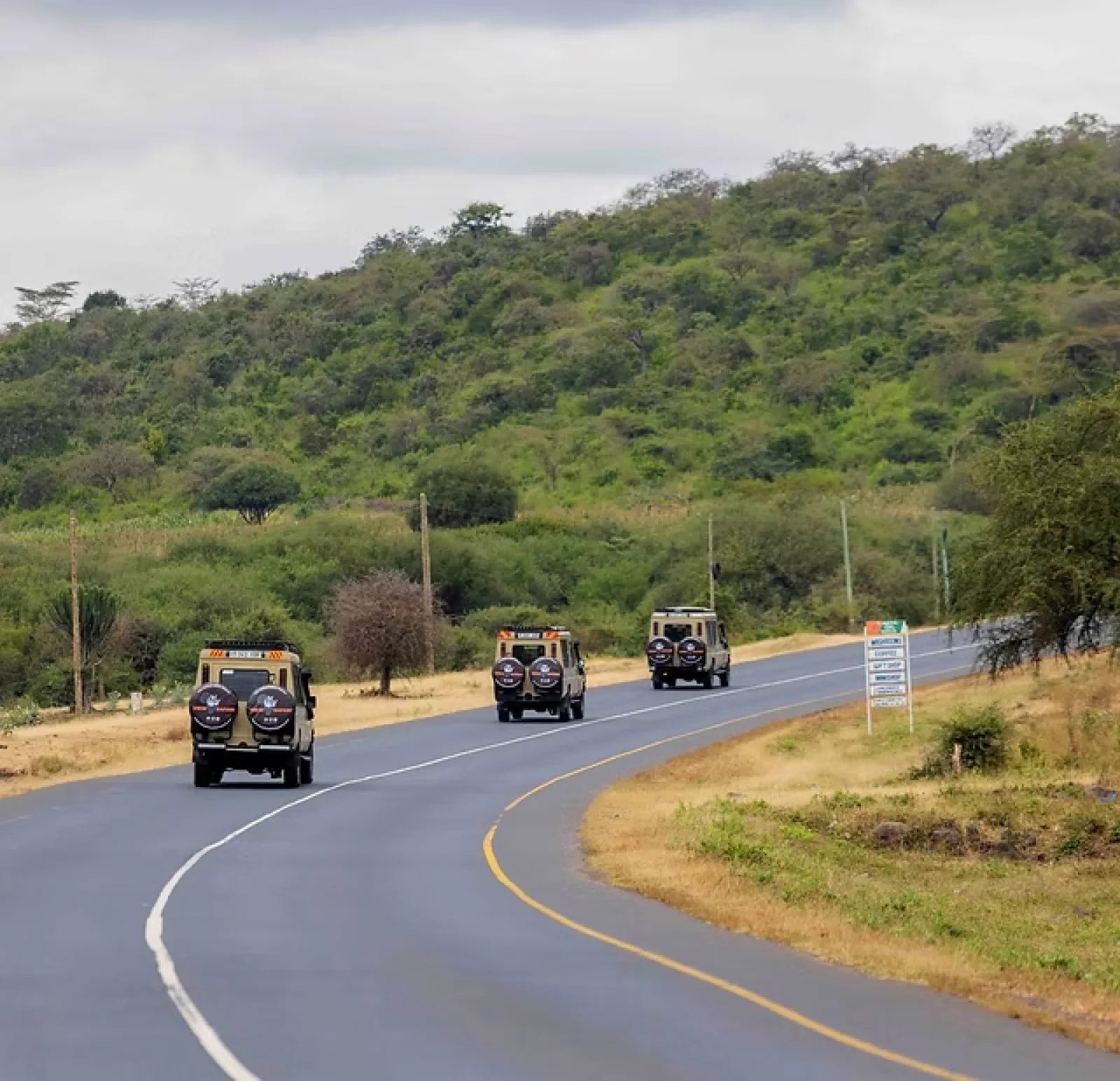 Itinéraire safari Afrique 12 jours : Tanzanie approfondie