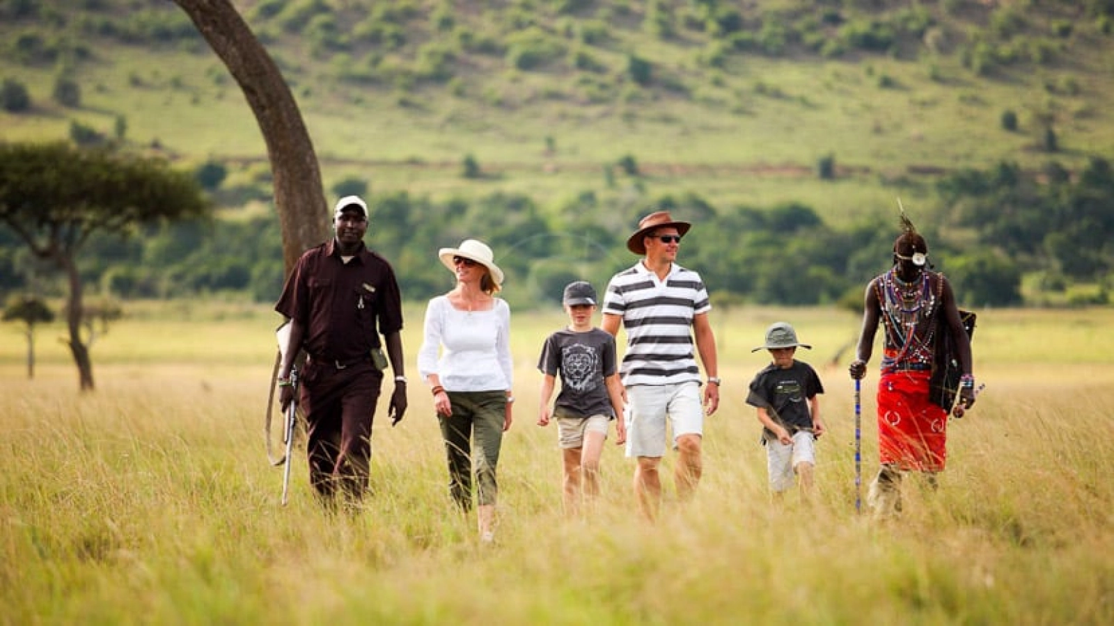 Lions in Kenya