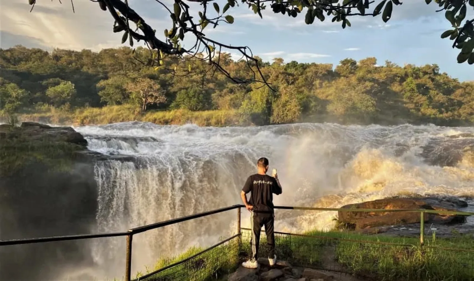 Lions in Uganda