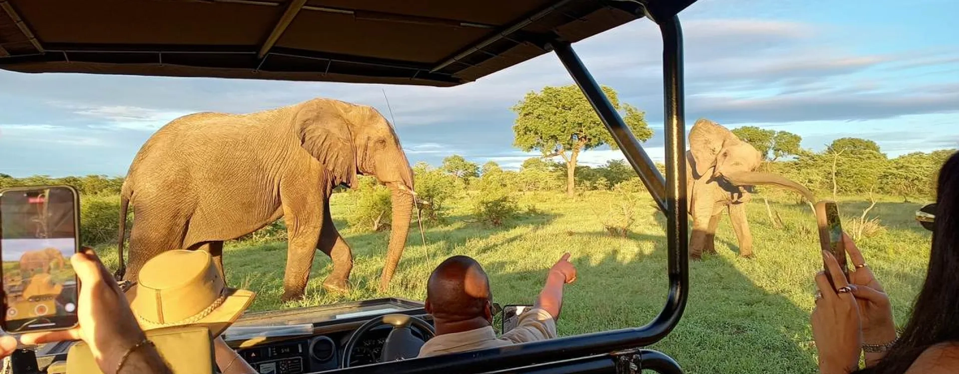 Meilleure période pour un safari en Afrique