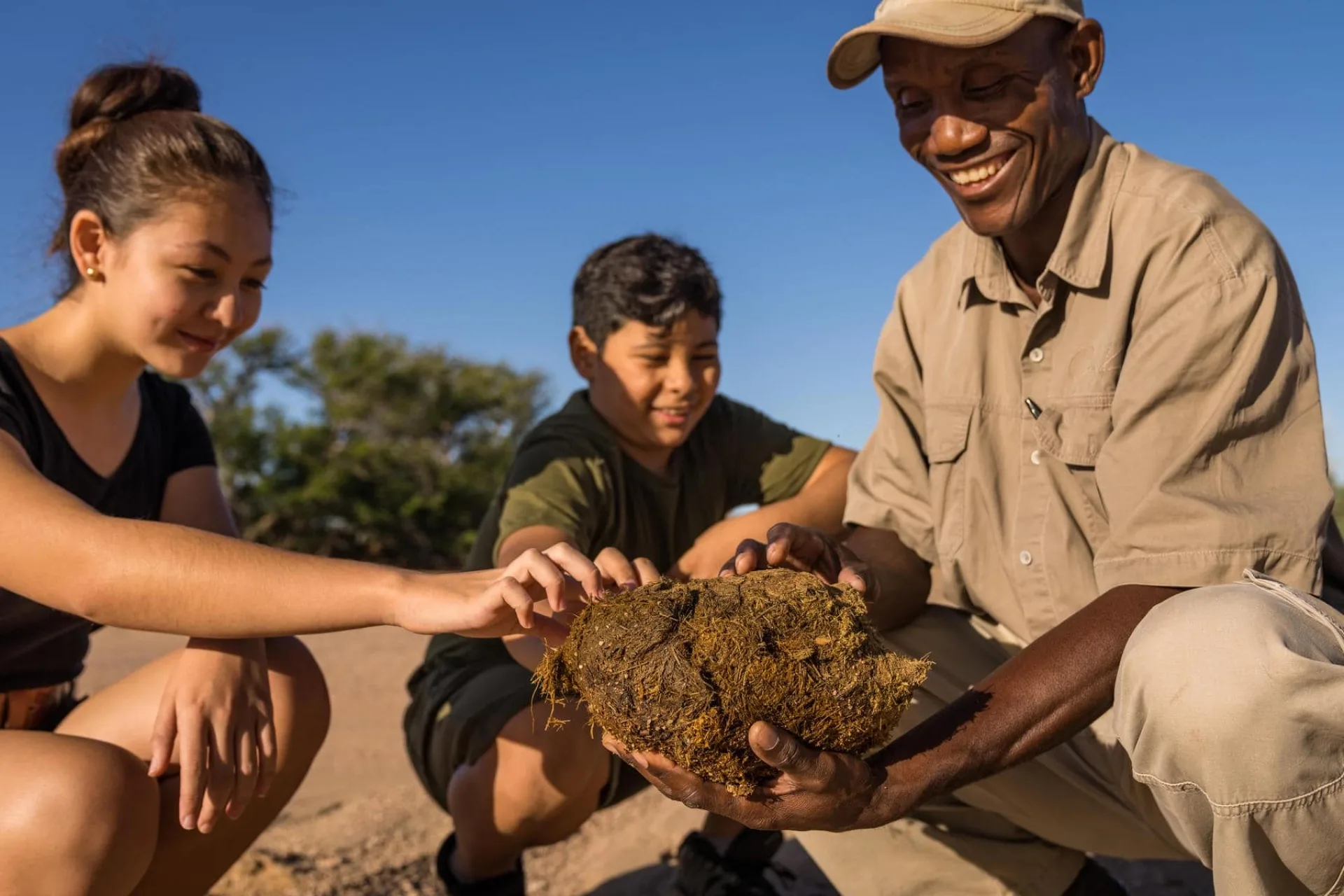 Namibia or Botswana: which is better for safari?