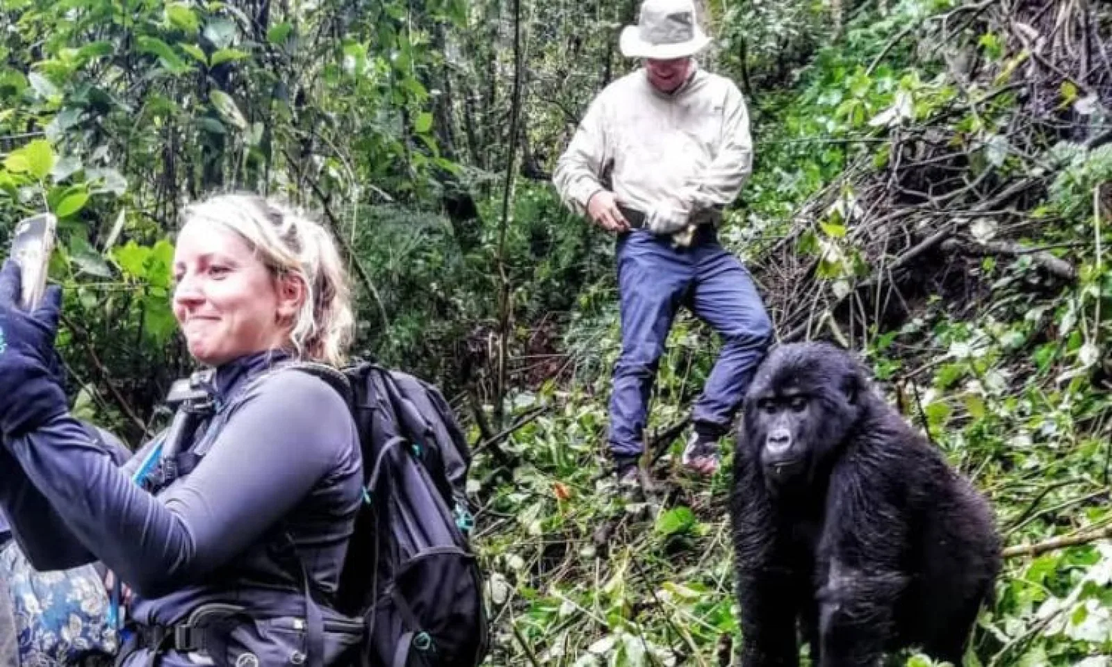 Porter helping a visitor on a gorilla trek in Uganda
