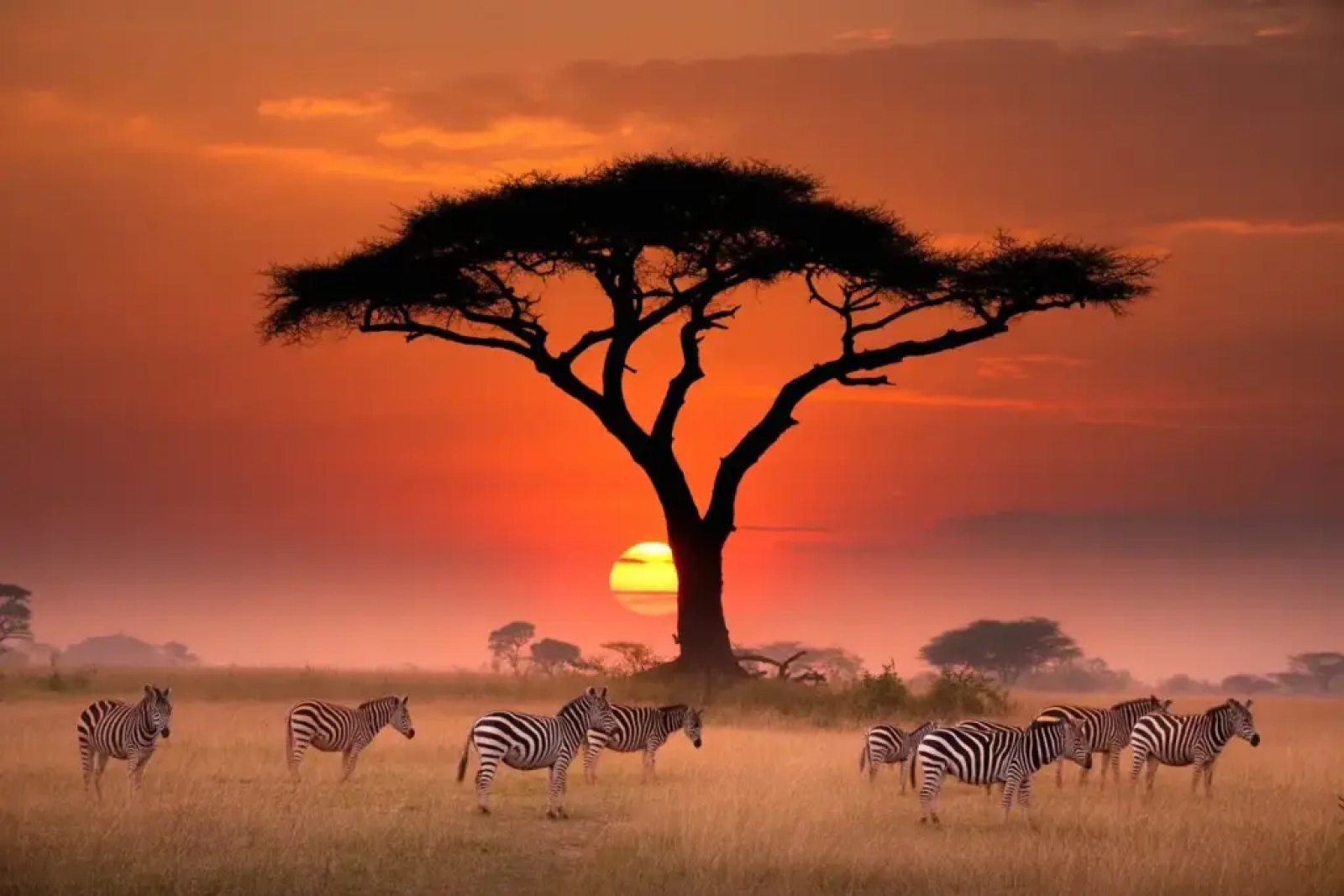 Private safari vehicle in East Africa