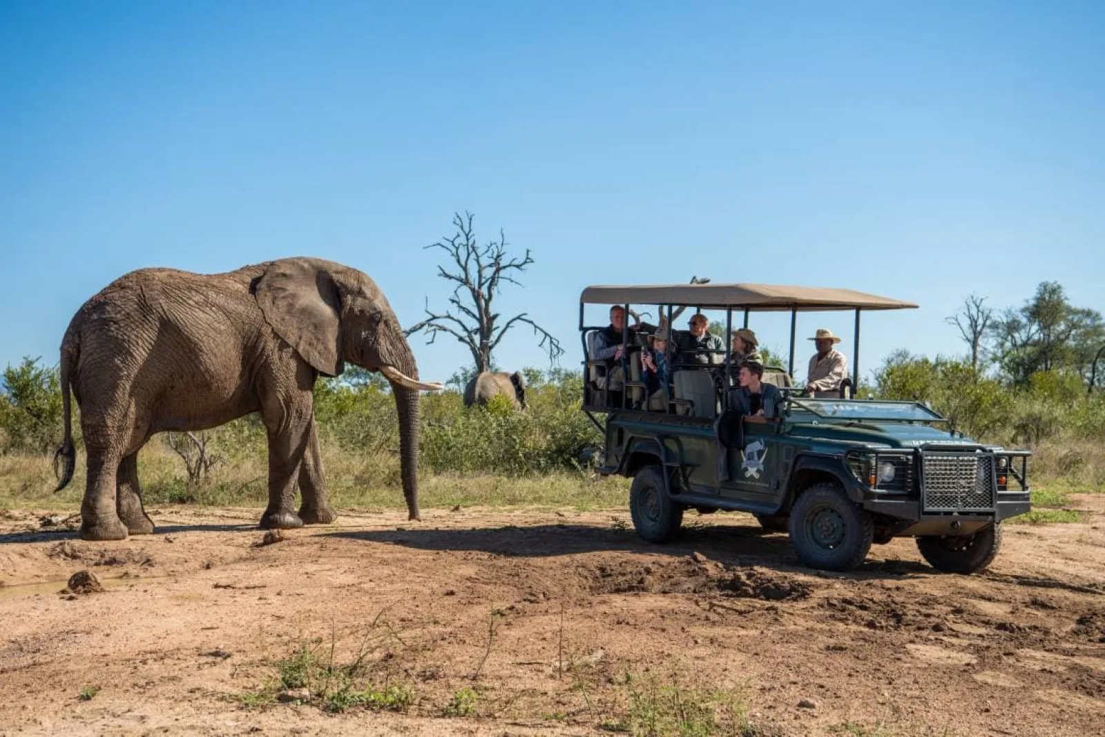 Private safari vehicle in East Africa