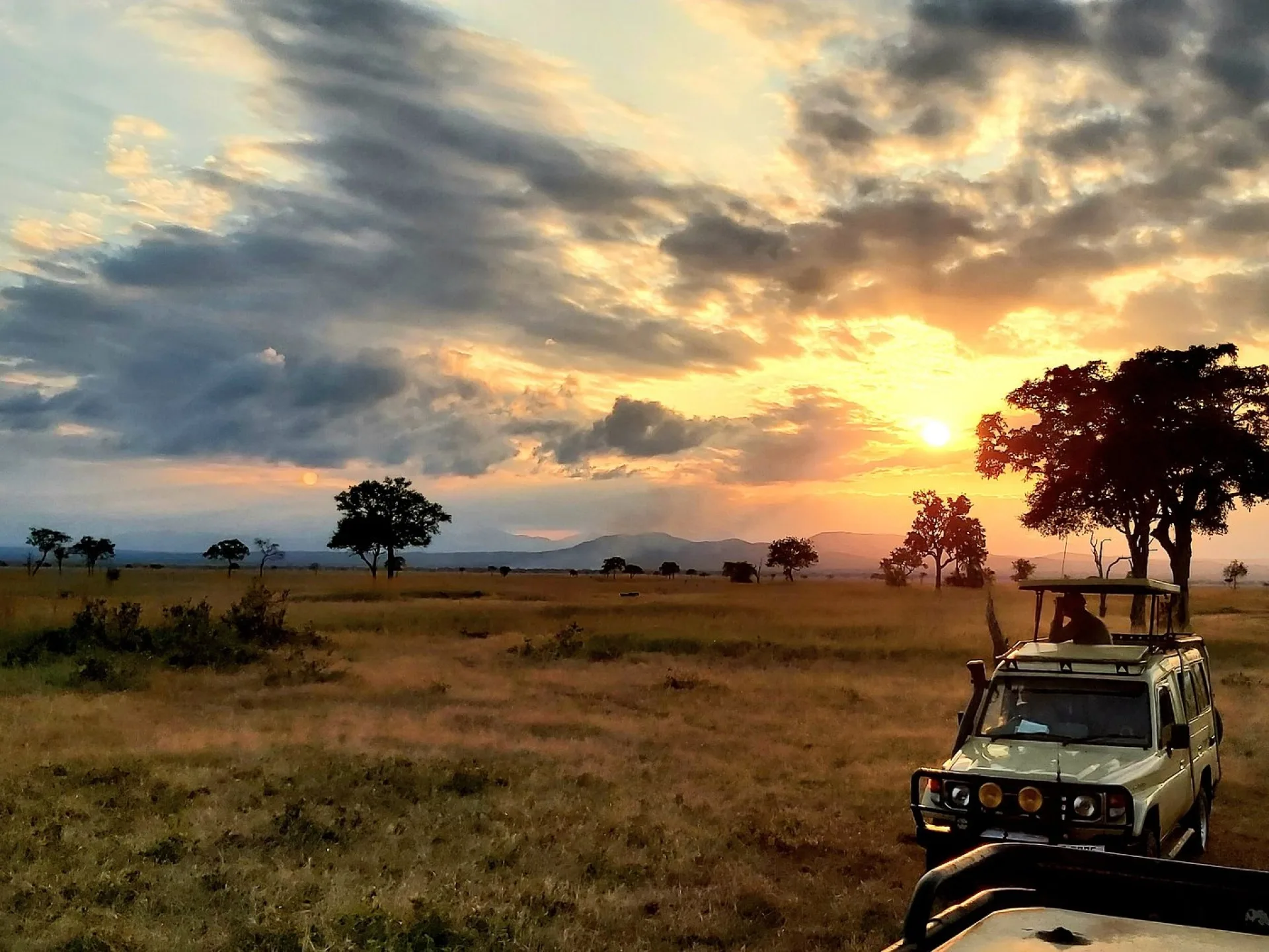 Safari Afrique 10 jours : itinéraire et budget