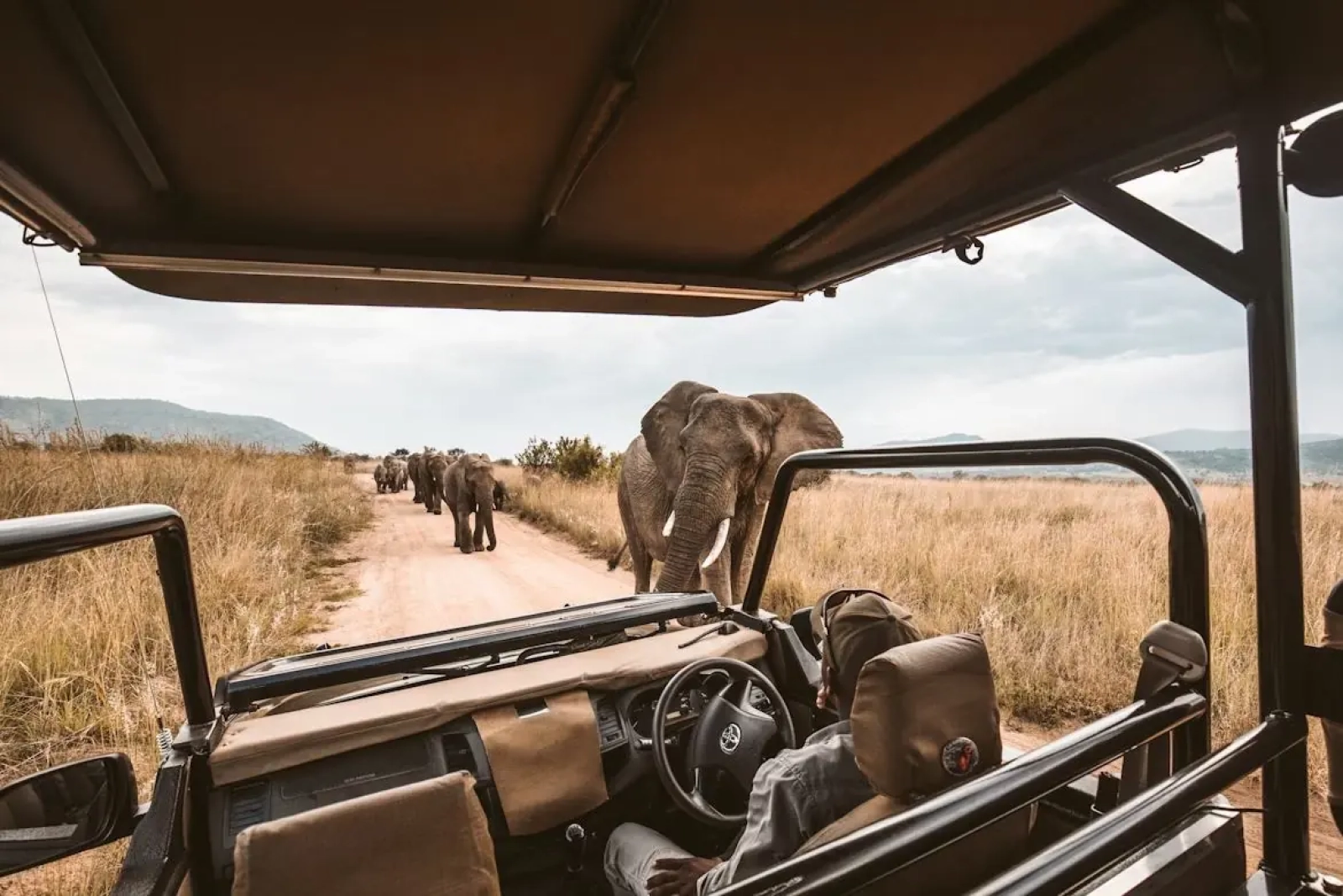 Safari Afrique 8 jours tout compris : que doit contenir le prix