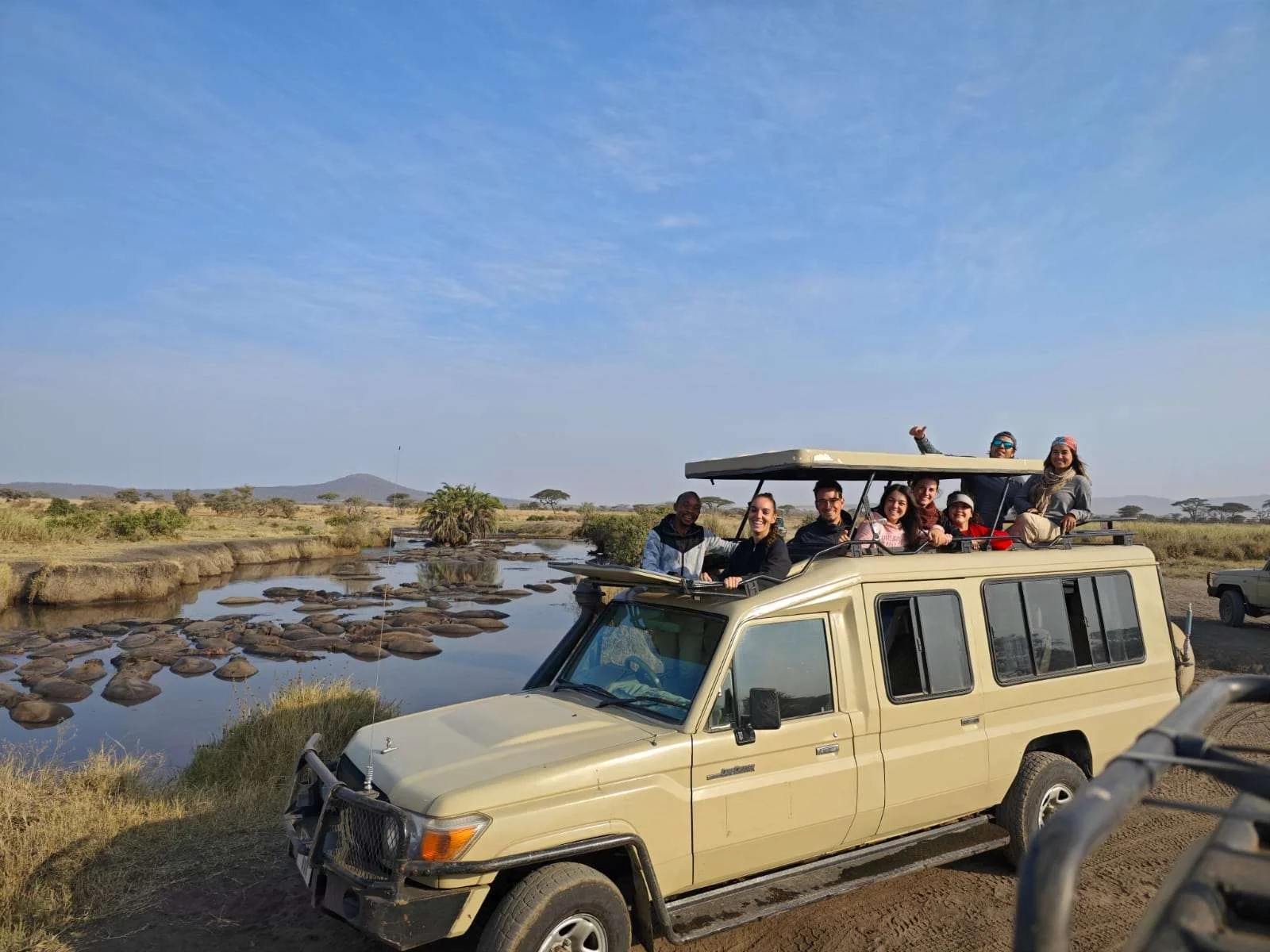 Safari Afrique agence locale : conseils complet