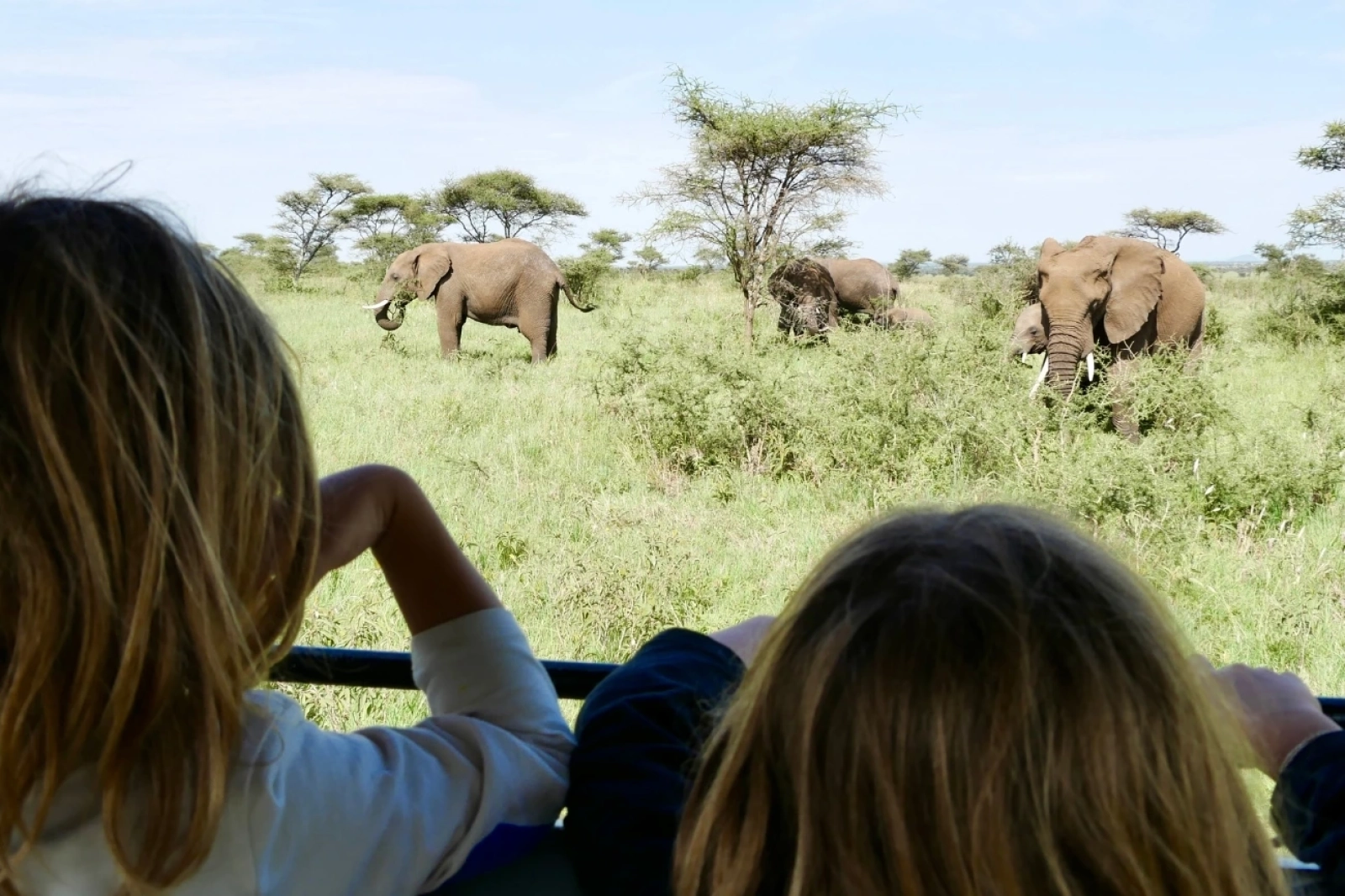 Safari Afrique agence locale : conseils et organisation