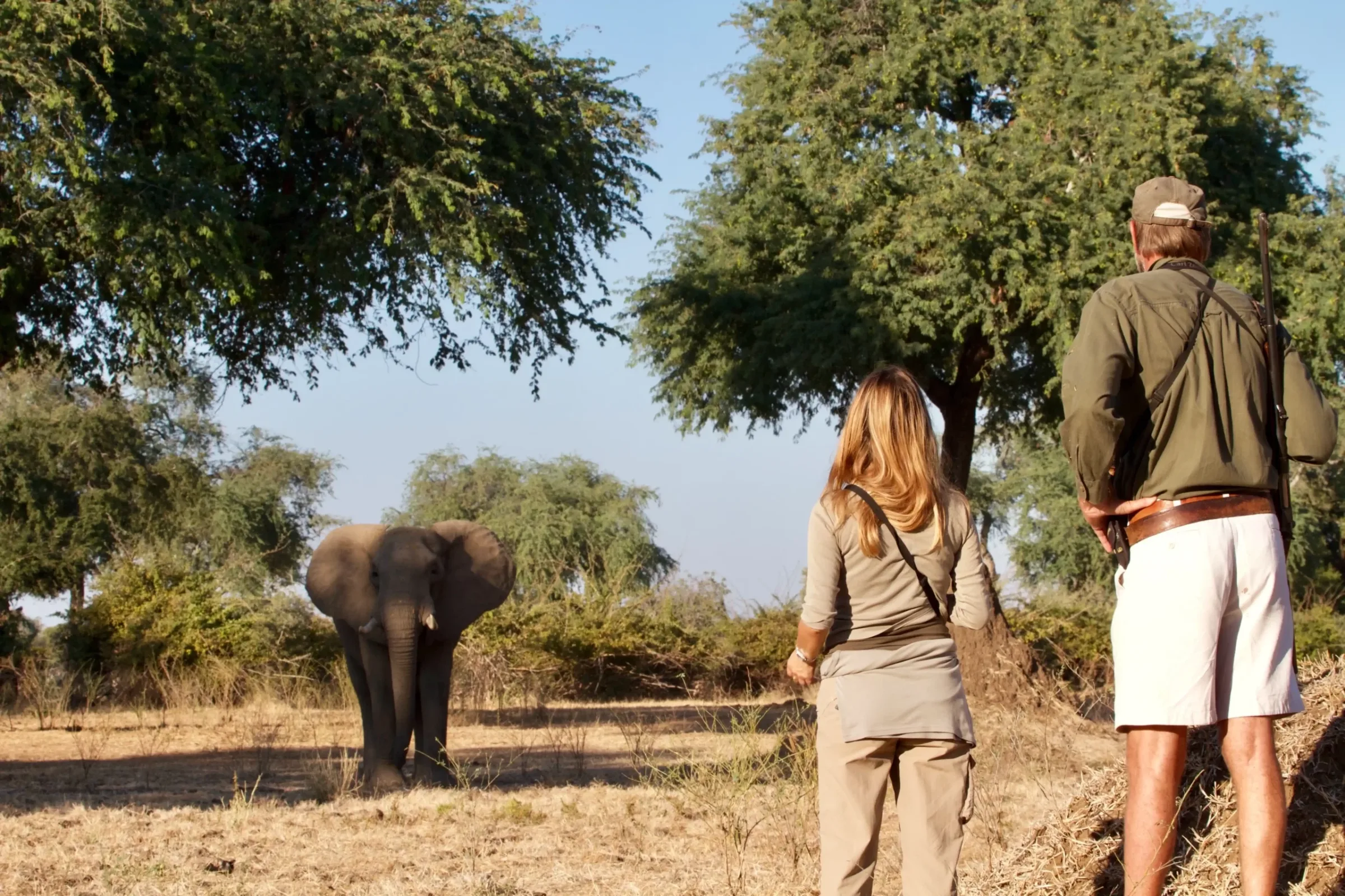 Safari Afrique avis voyageurs : conseils et organisation