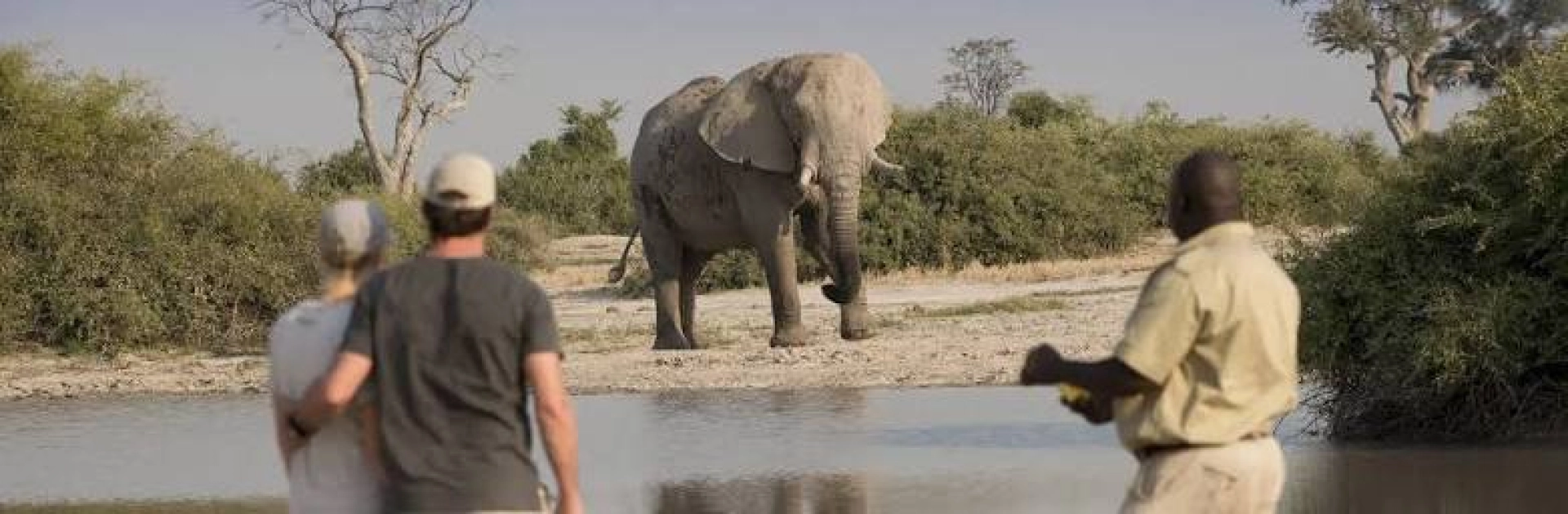 Safari Afrique basse saison : conseils et organisation